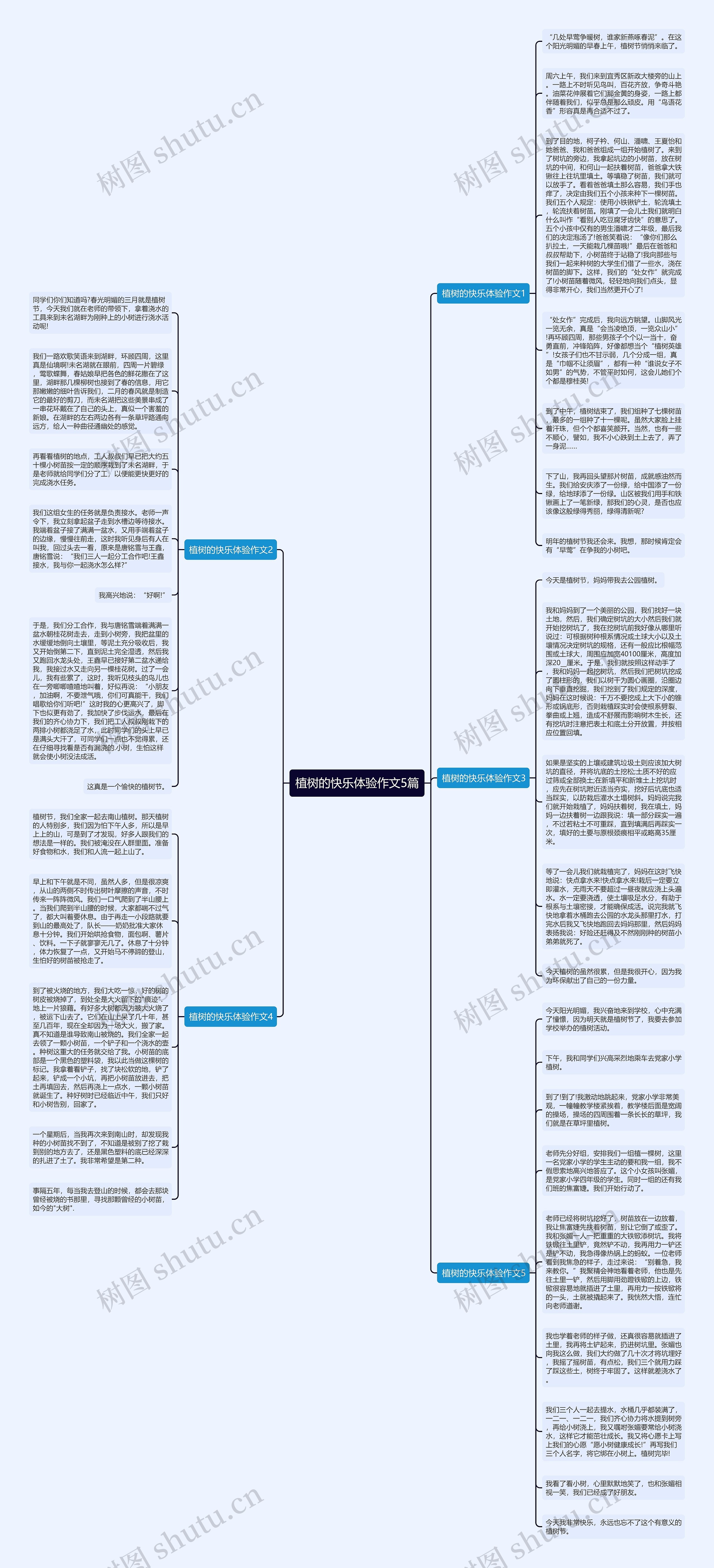 植树的快乐体验作文5篇思维导图