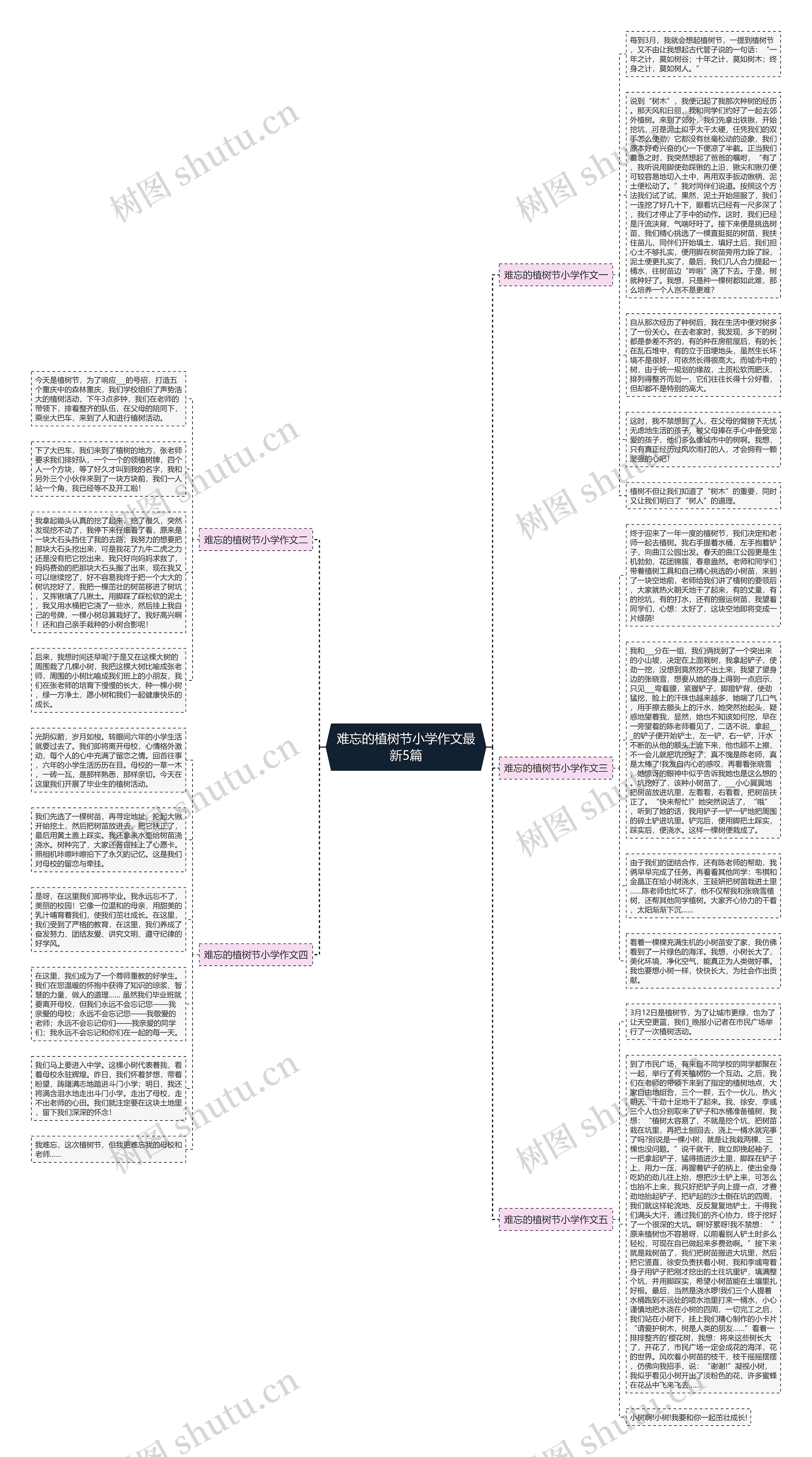 难忘的植树节小学作文最新5篇思维导图