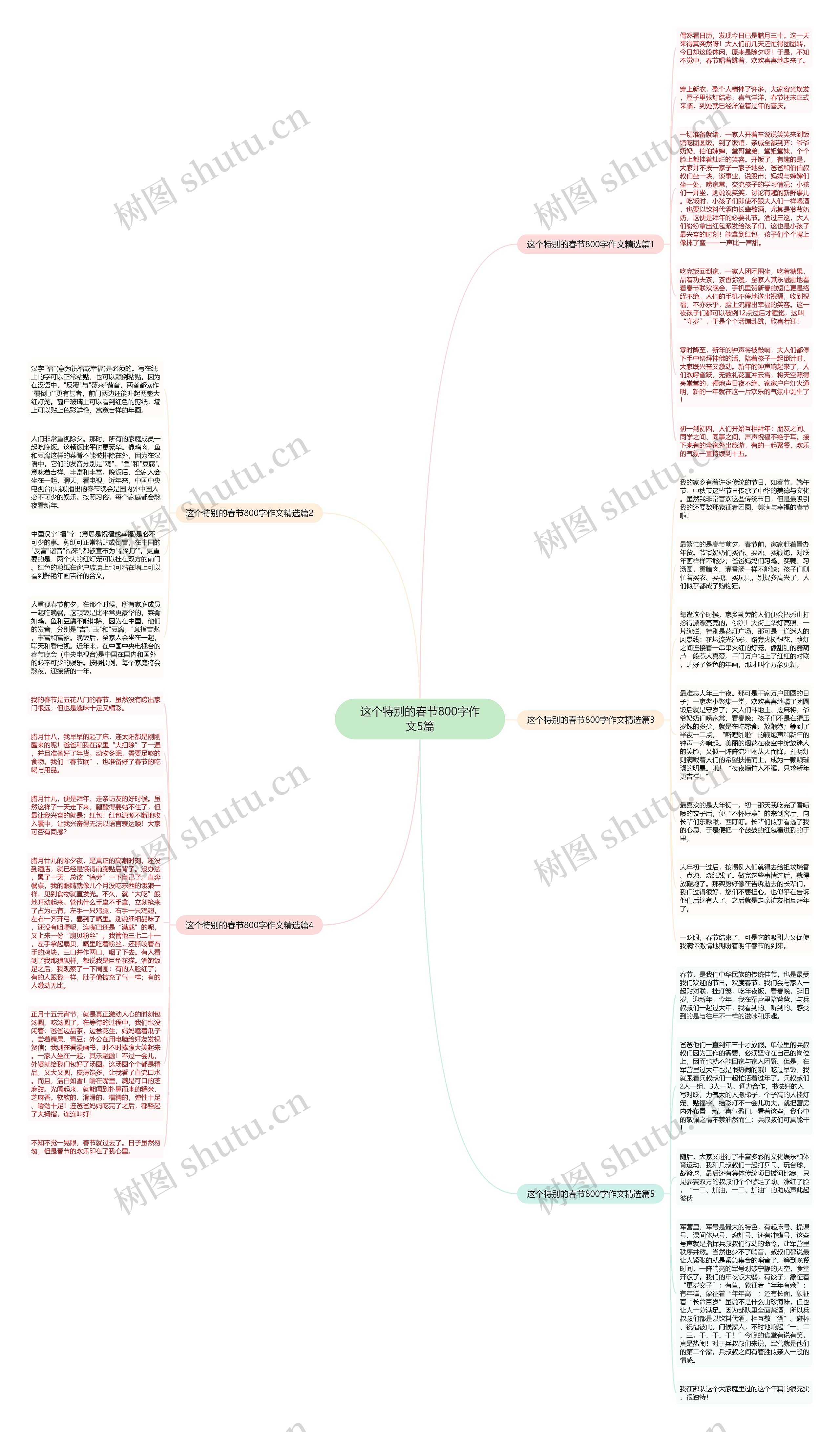 这个特别的春节800字作文5篇思维导图