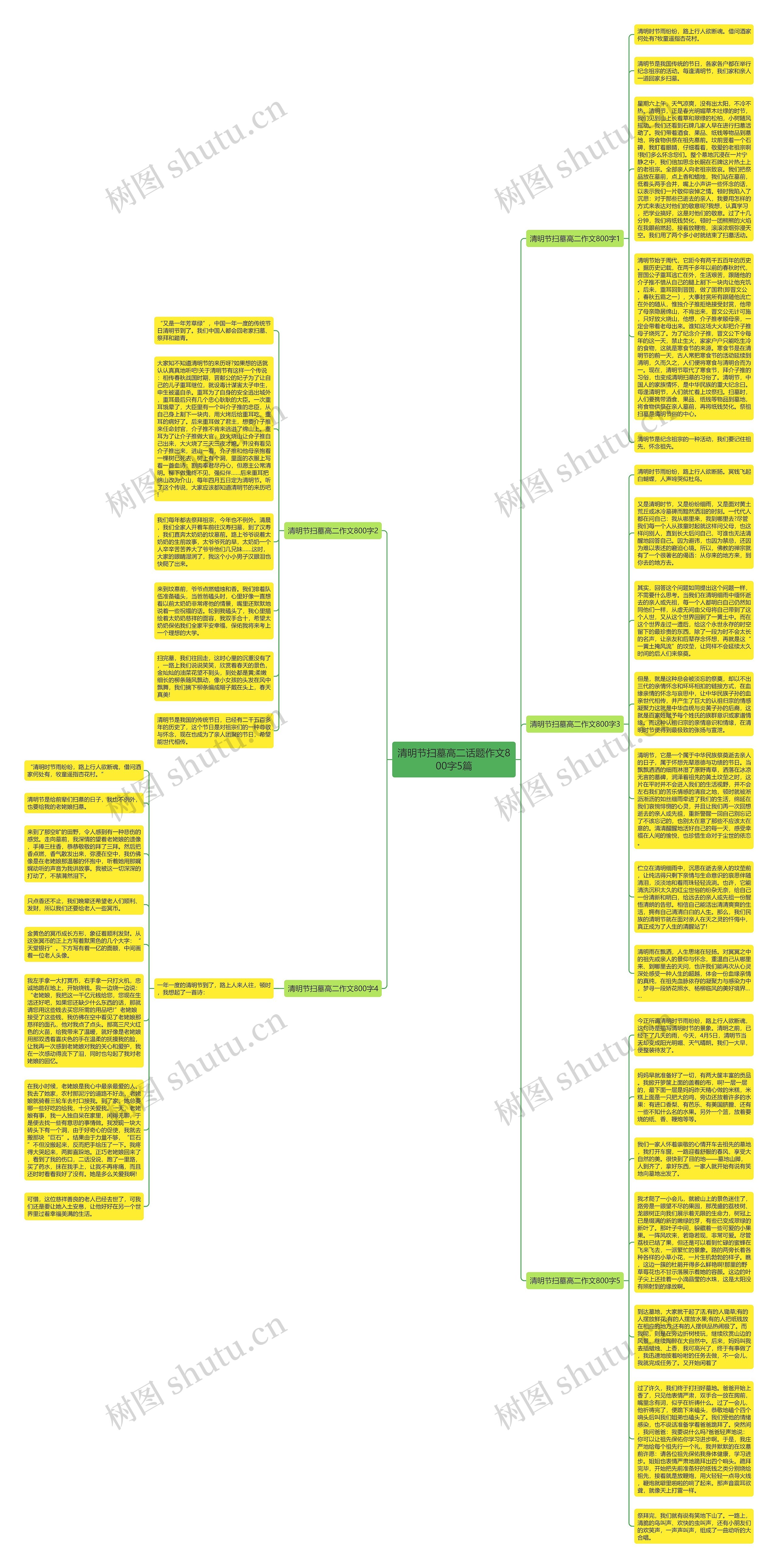 清明节扫墓高二话题作文800字5篇