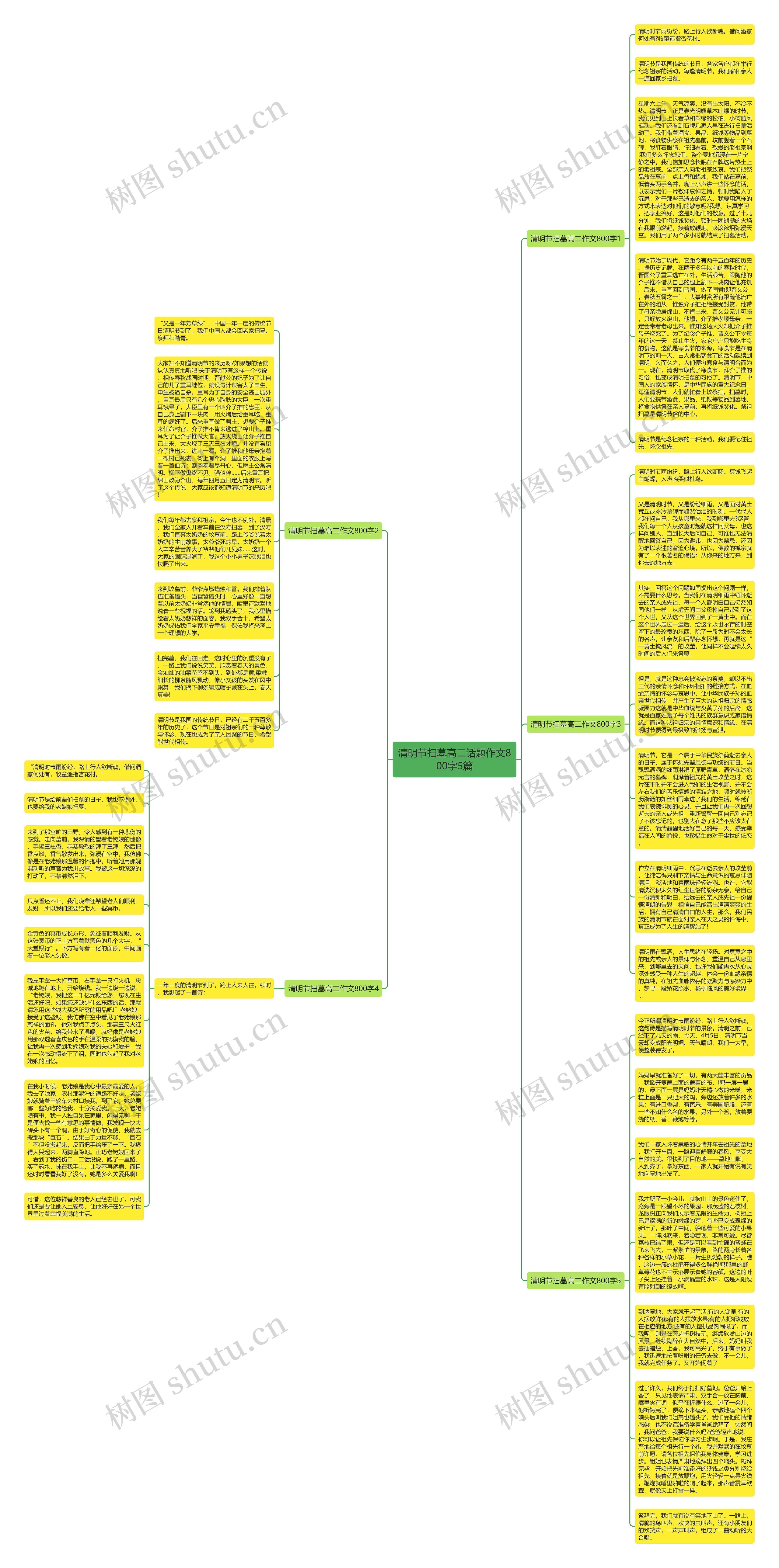 清明节扫墓高二话题作文800字5篇思维导图