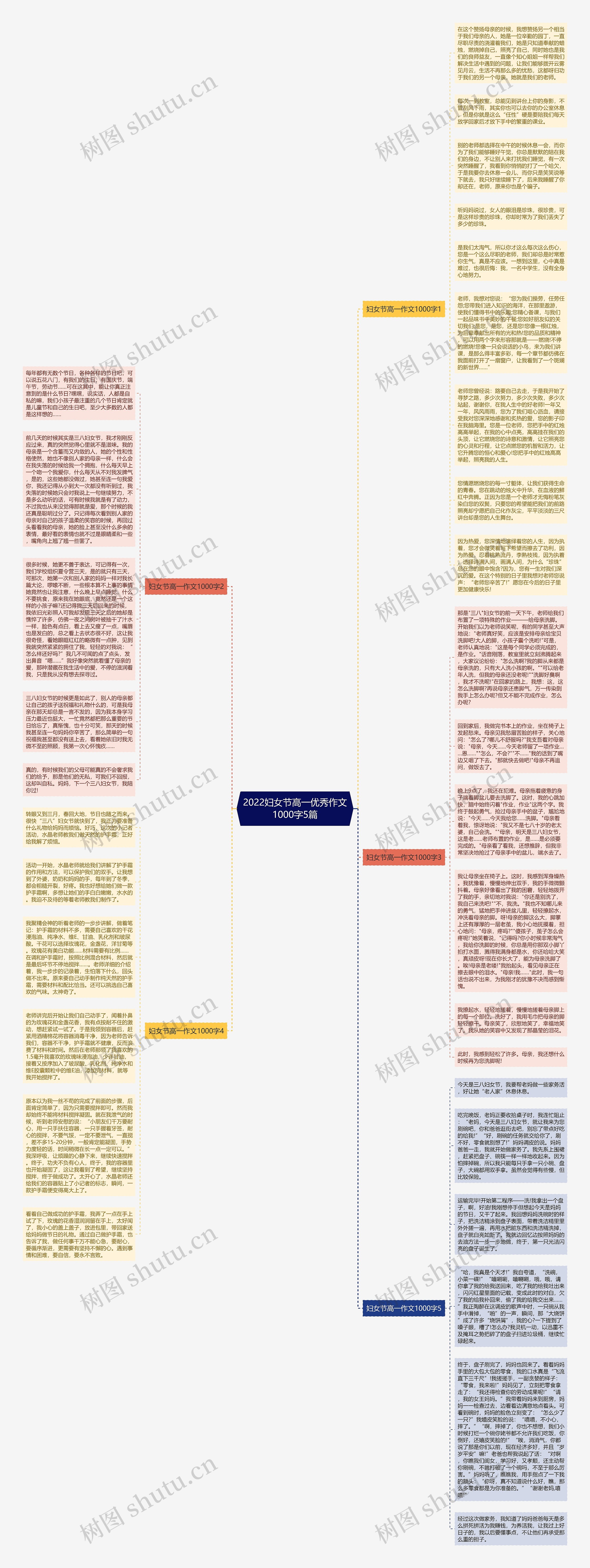 2022妇女节高一优秀作文1000字5篇思维导图