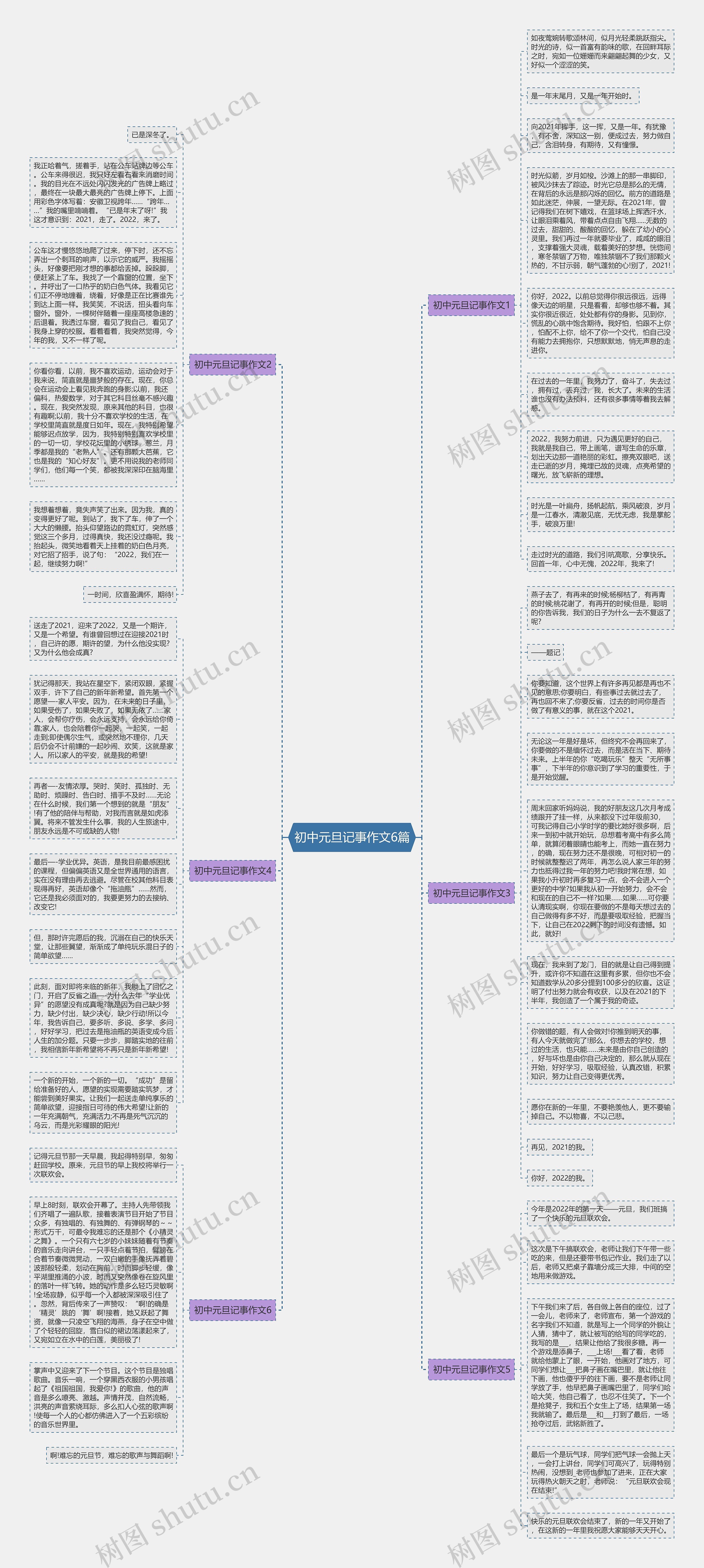 初中元旦记事作文6篇思维导图