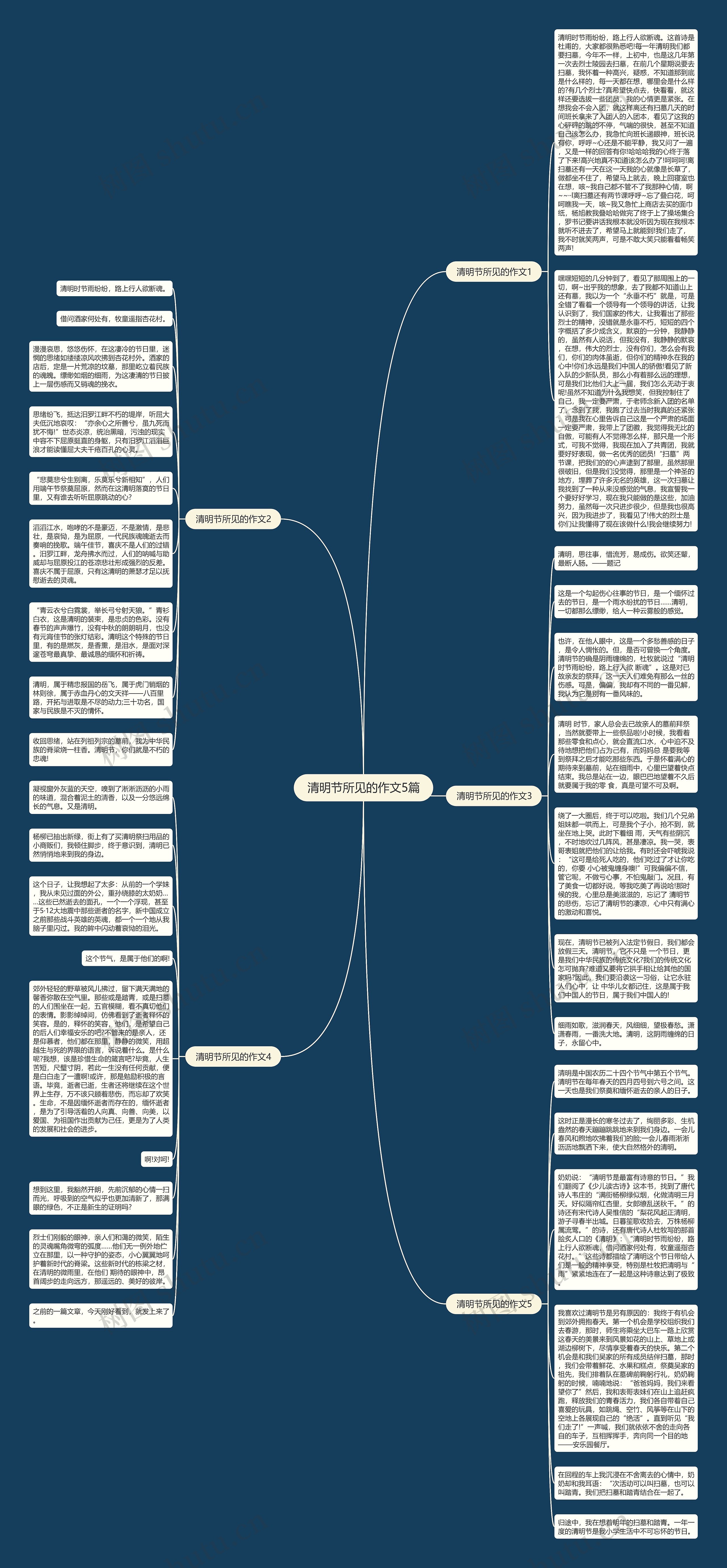 清明节所见的作文5篇思维导图
