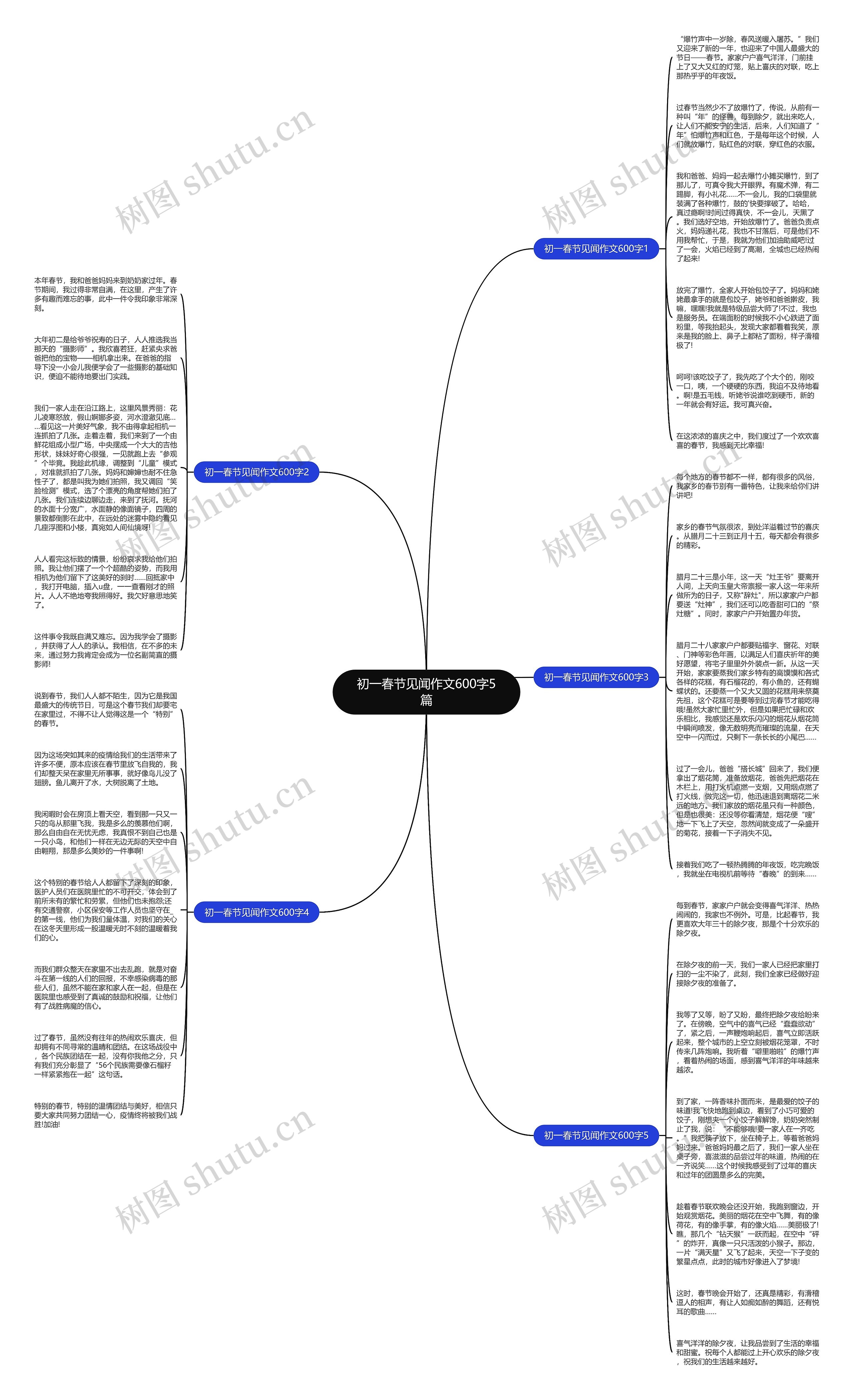 初一春节见闻作文600字5篇思维导图