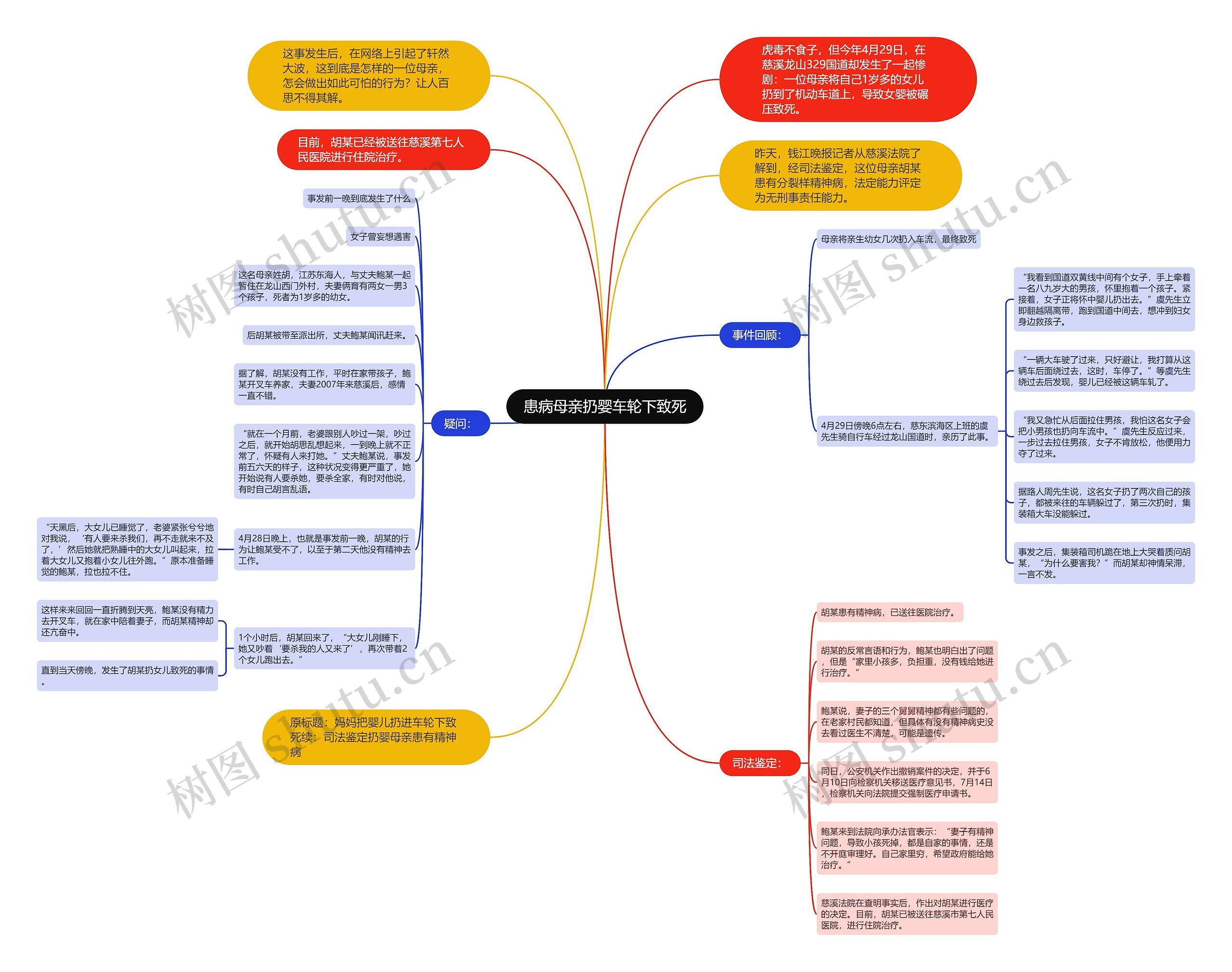 患病母亲扔婴车轮下致死思维导图