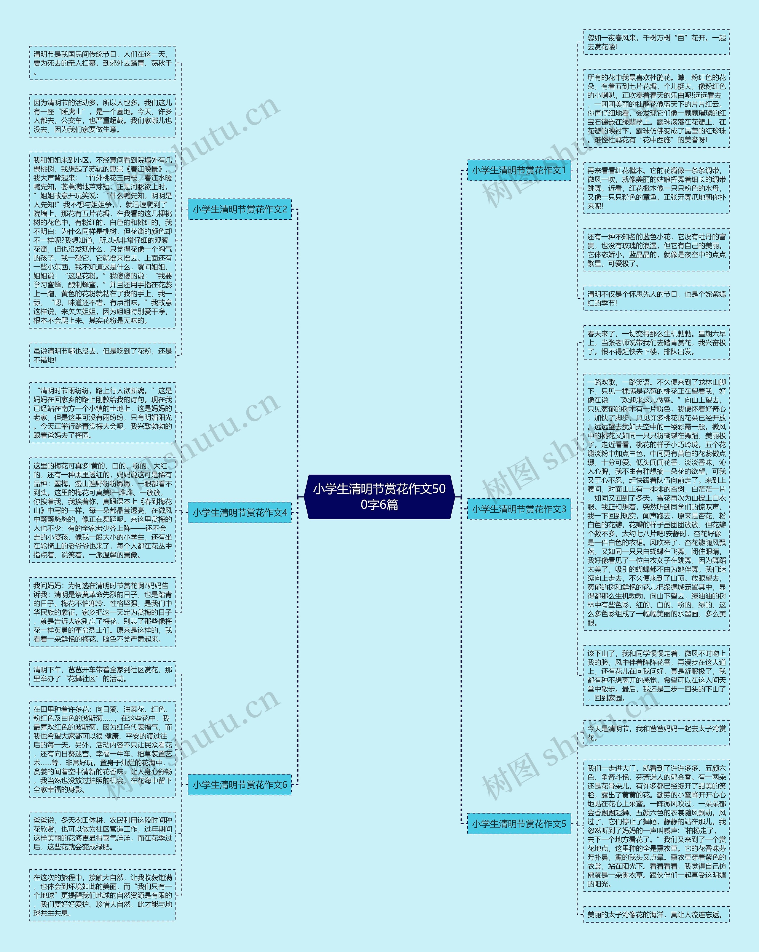 小学生清明节赏花作文500字6篇思维导图