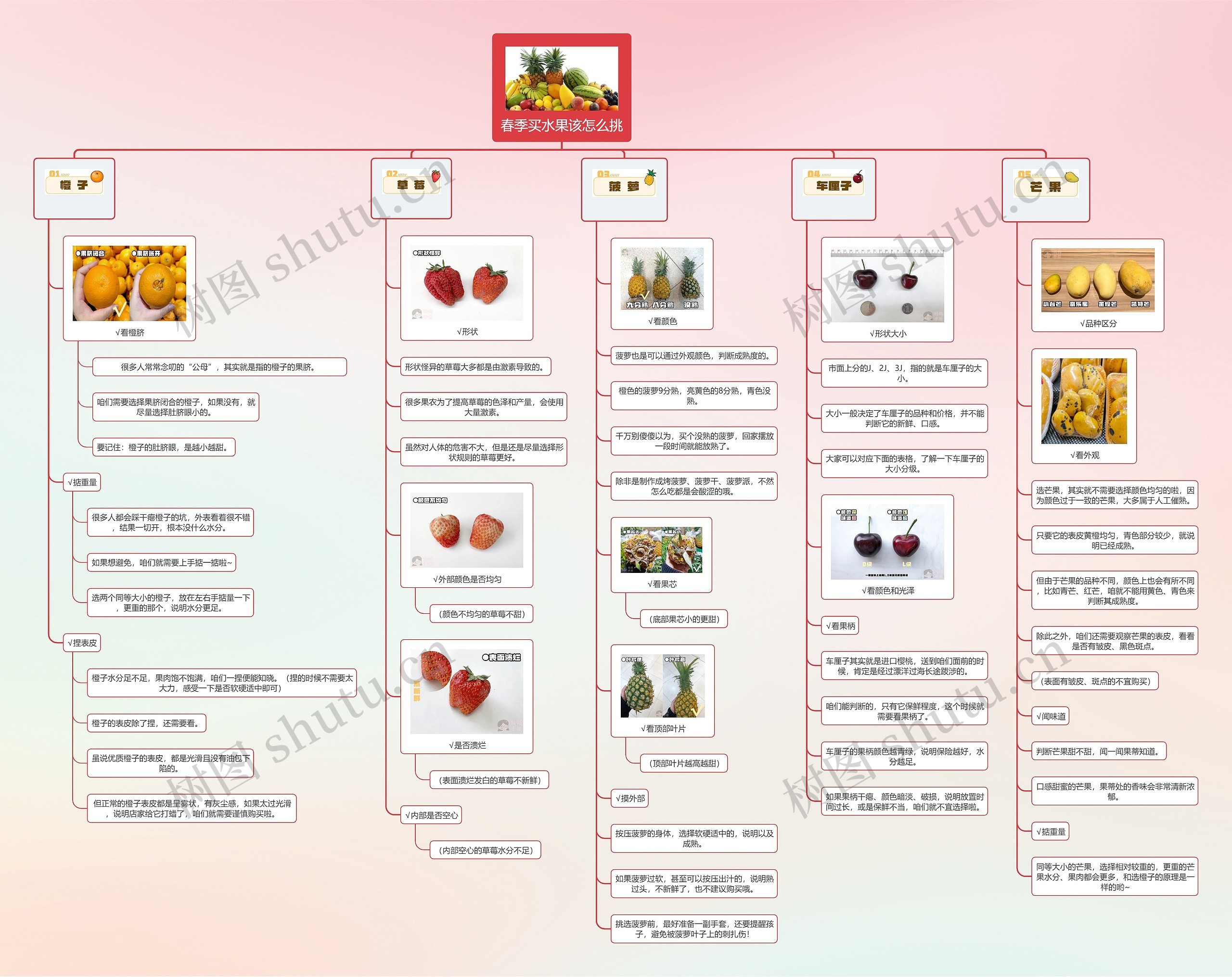 春季买水果该怎么挑思维导图