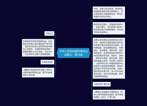 中华人民共和国民事诉讼法释义：第58条