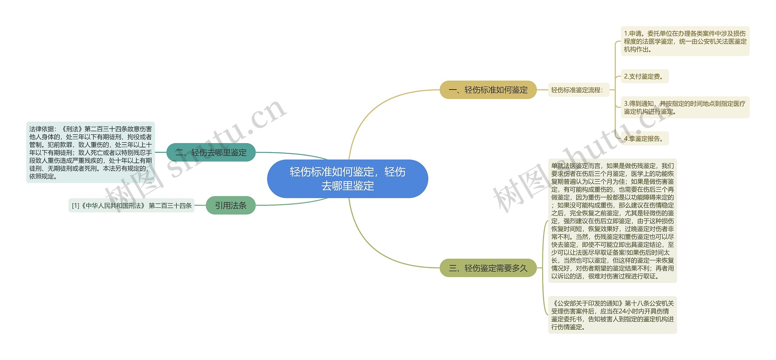 轻伤标准如何鉴定，轻伤去哪里鉴定思维导图