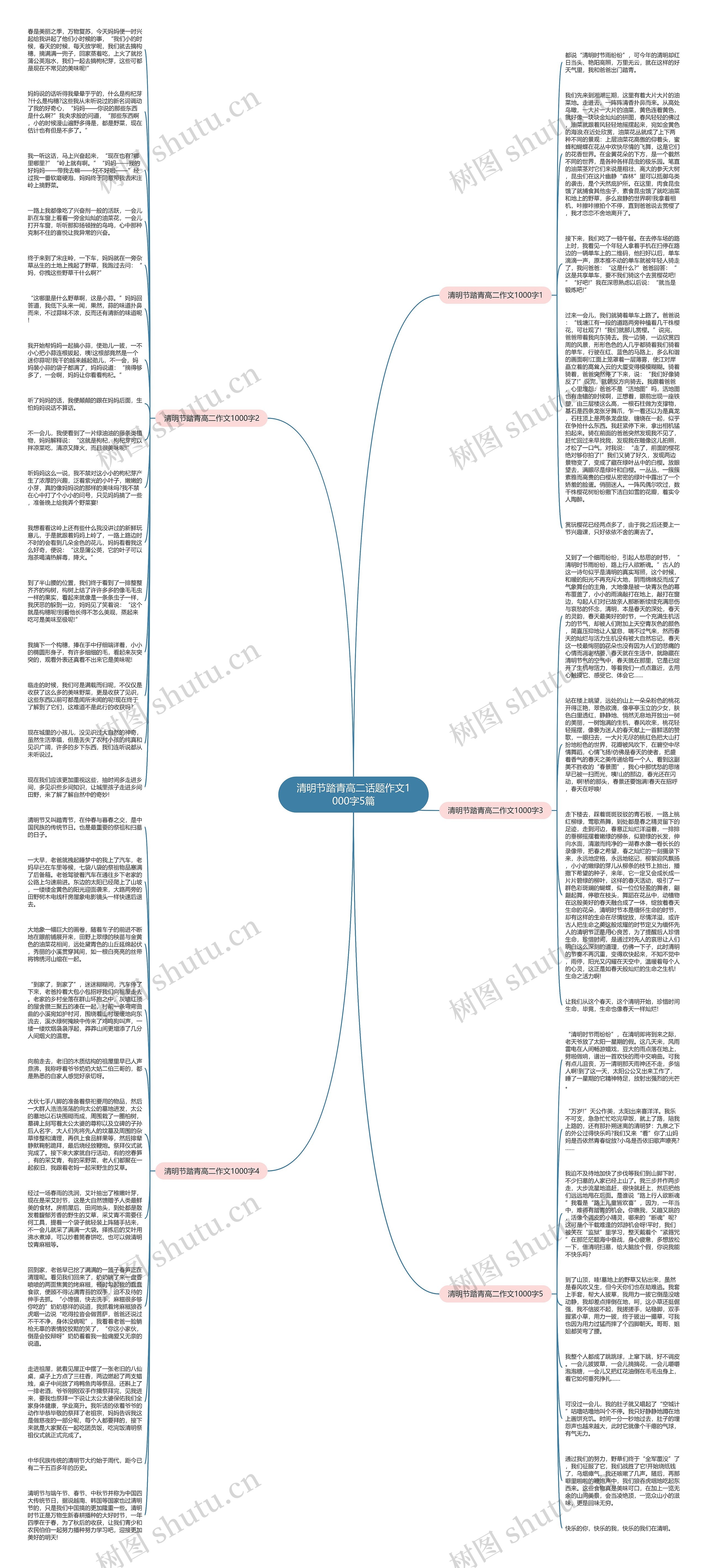 清明节踏青高二话题作文1000字5篇思维导图