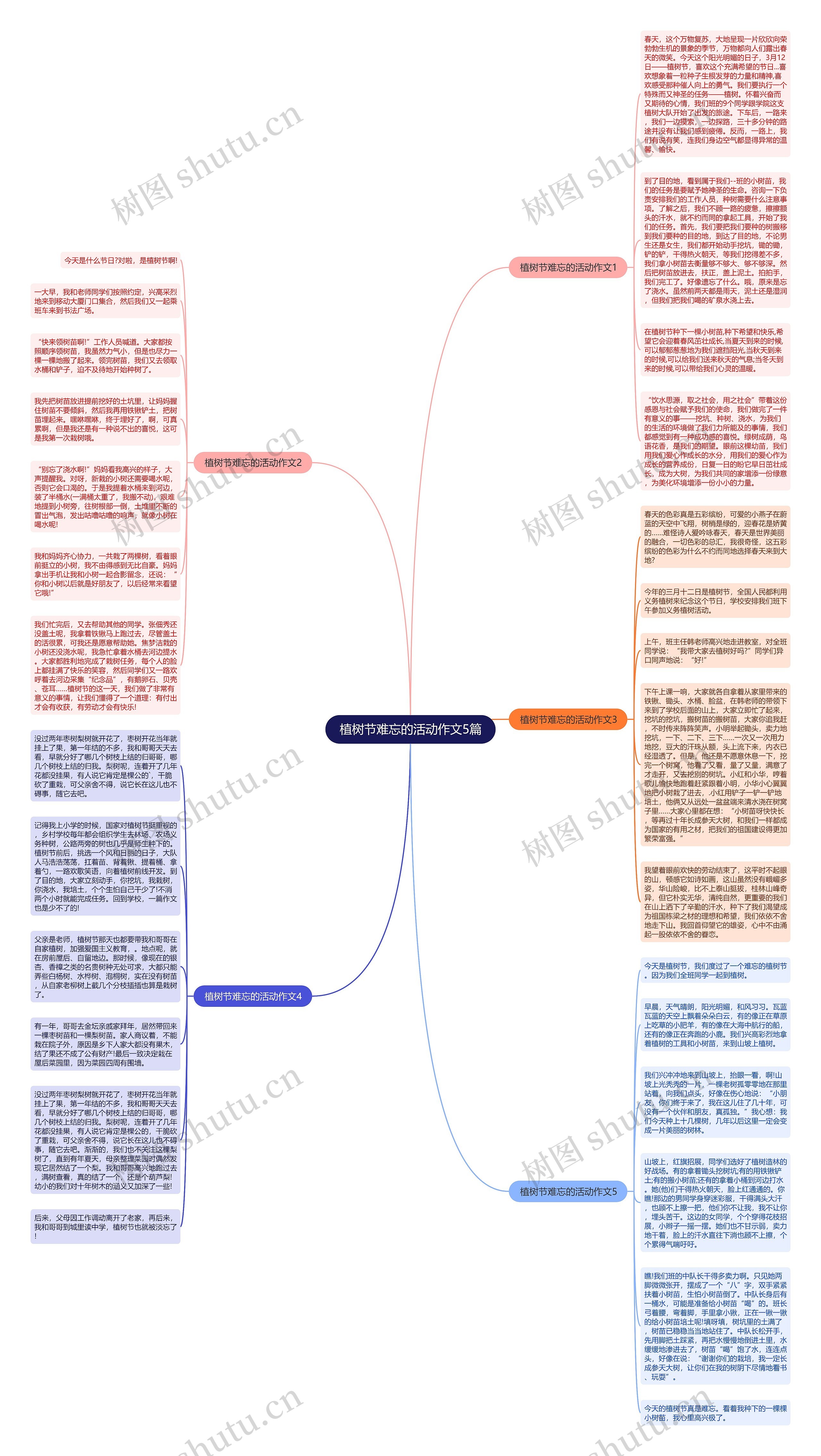 植树节难忘的活动作文5篇思维导图