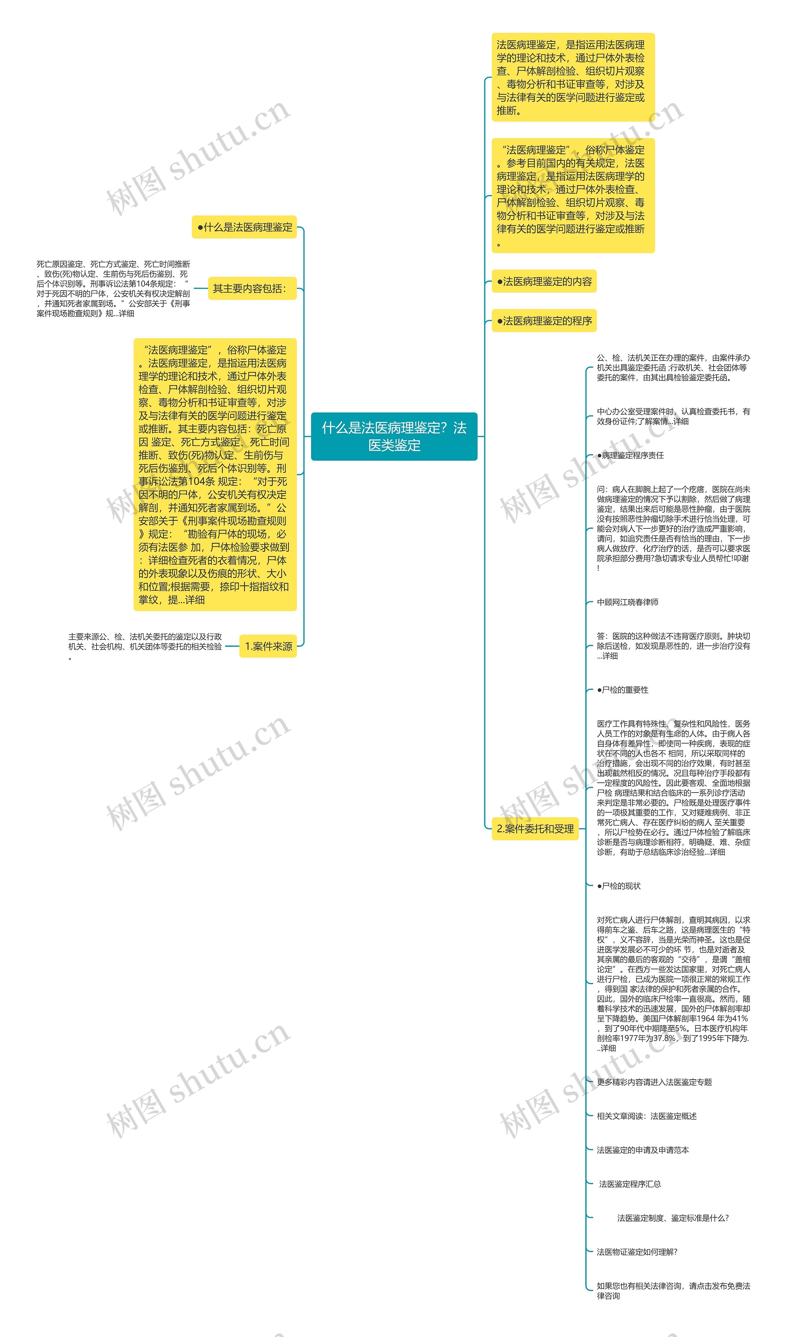 什么是法医病理鉴定？法医类鉴定思维导图