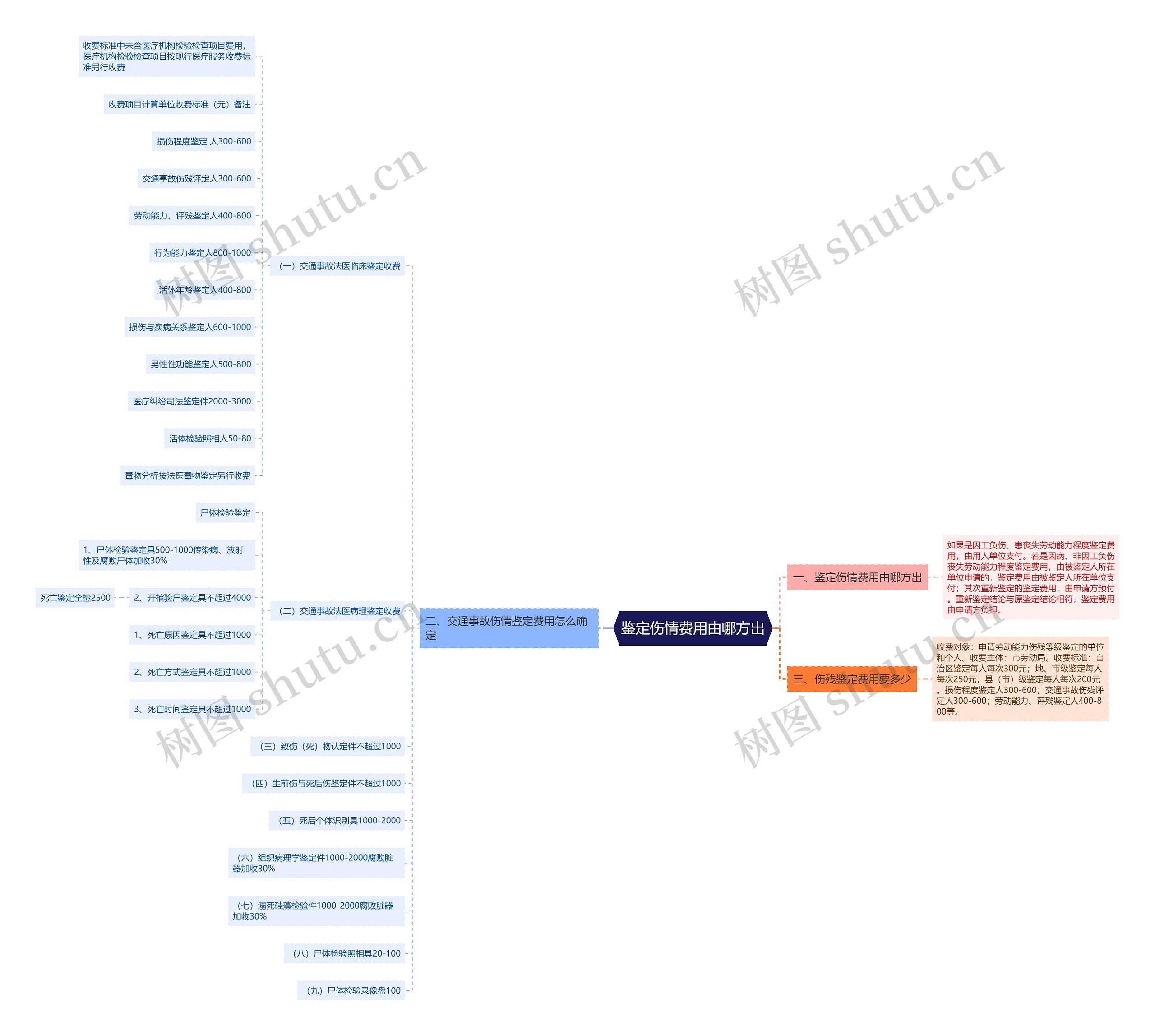 鉴定伤情费用由哪方出思维导图