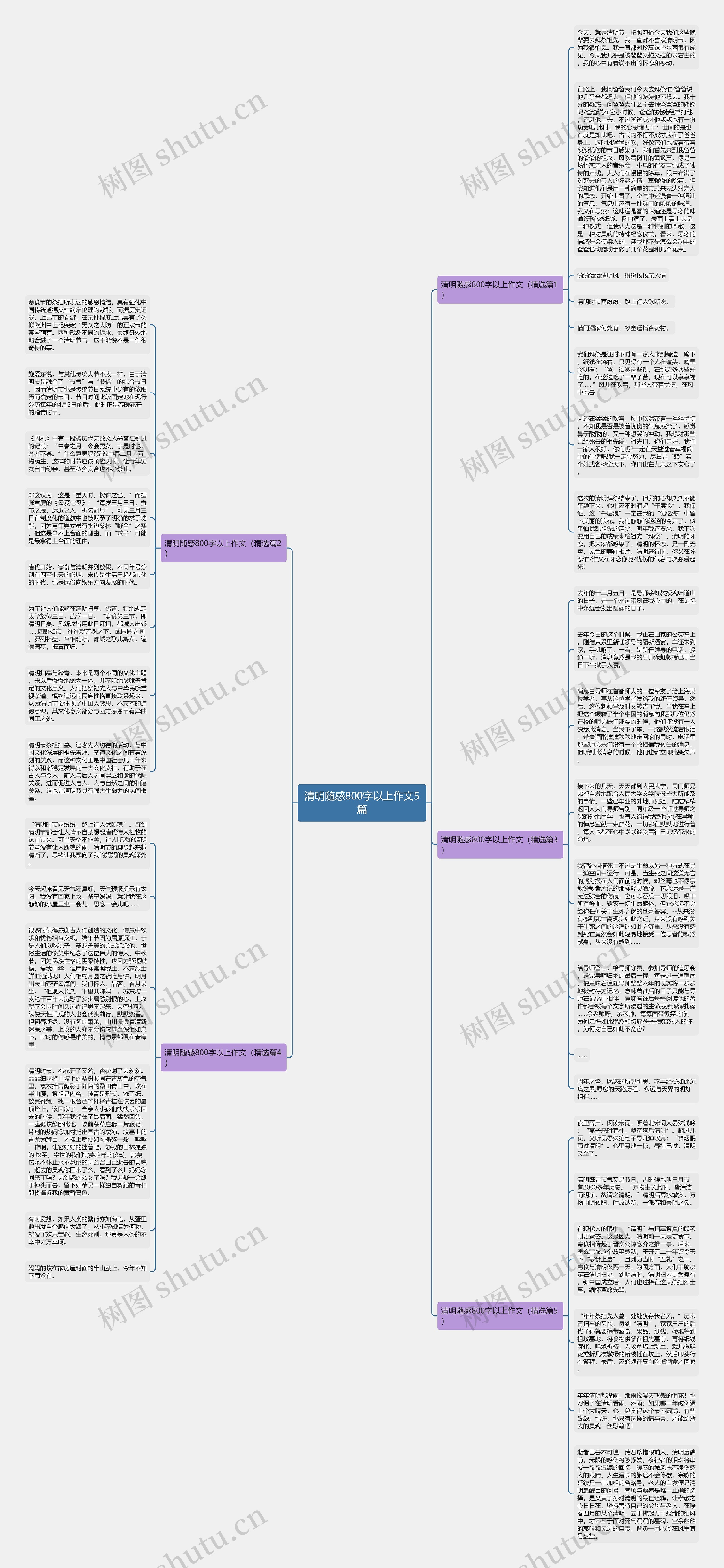 清明随感800字以上作文5篇思维导图