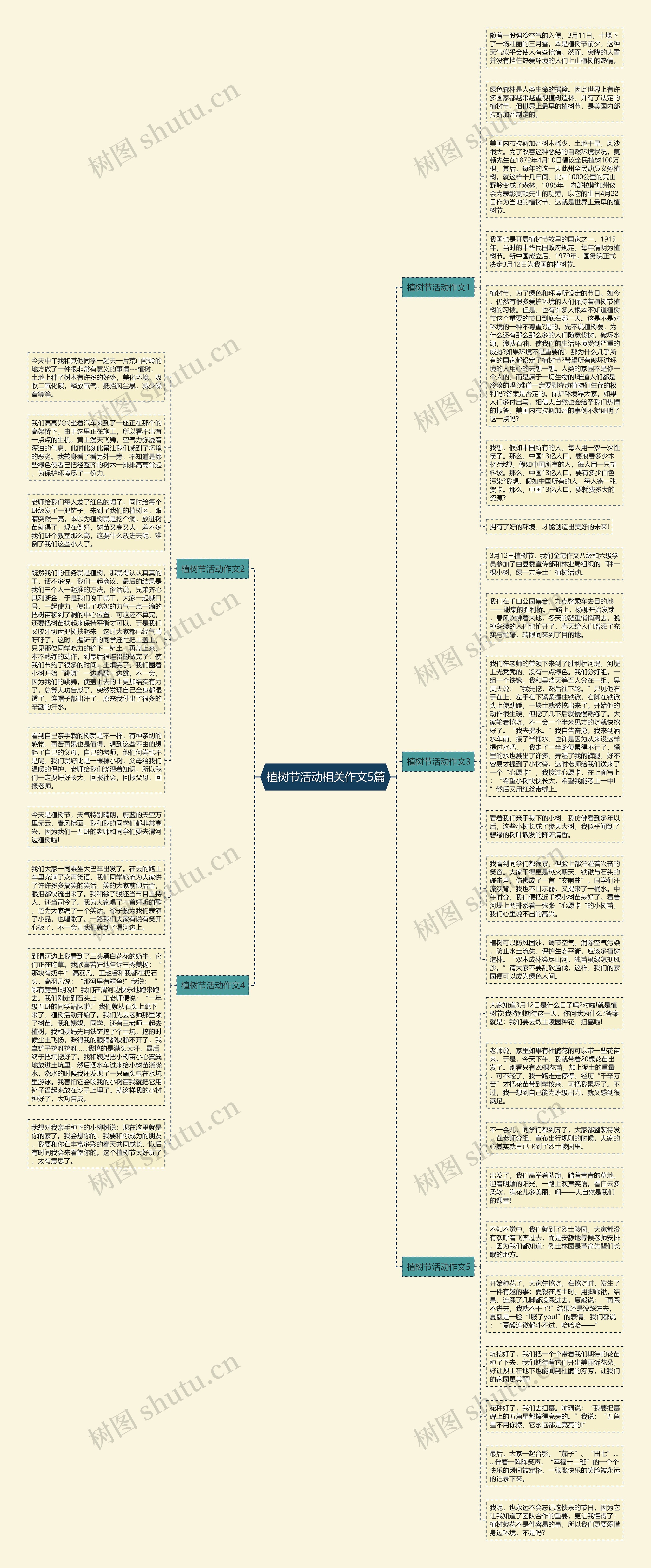 植树节活动相关作文5篇思维导图