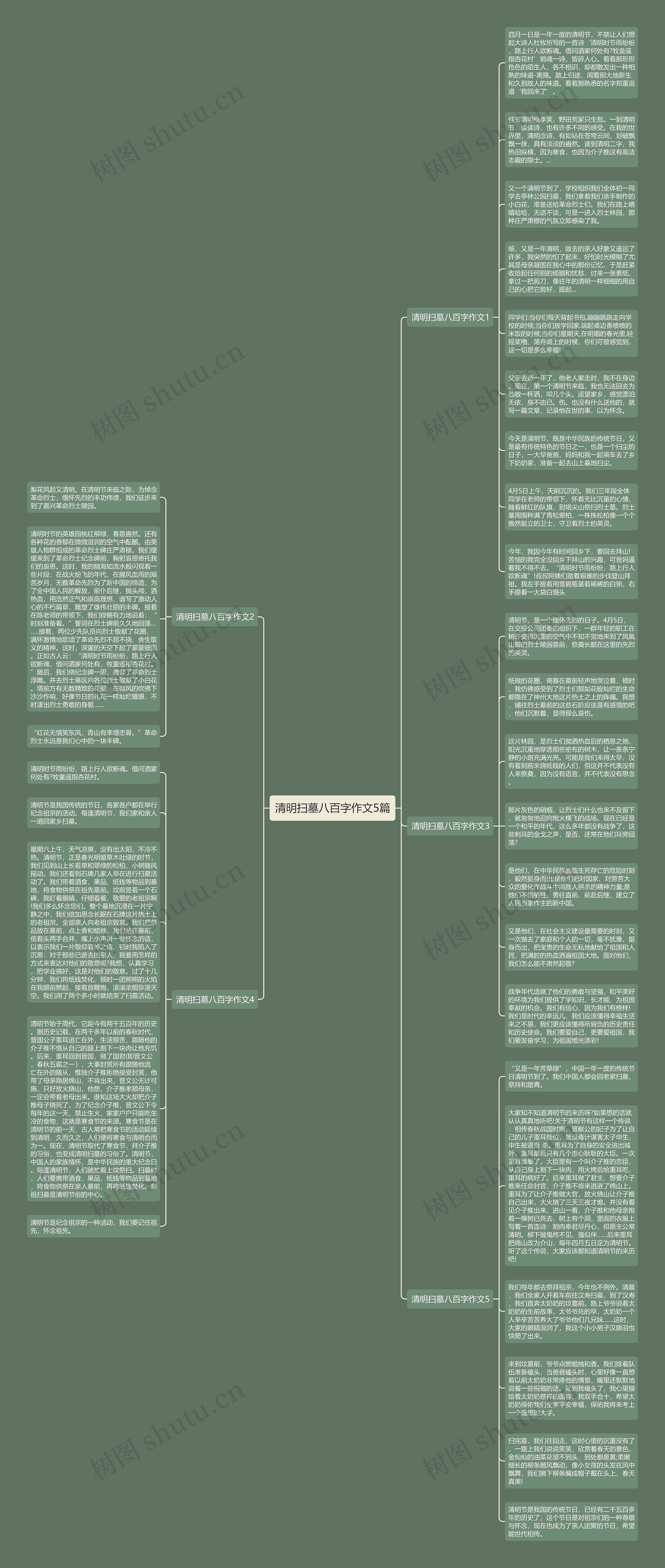 清明扫墓八百字作文5篇思维导图