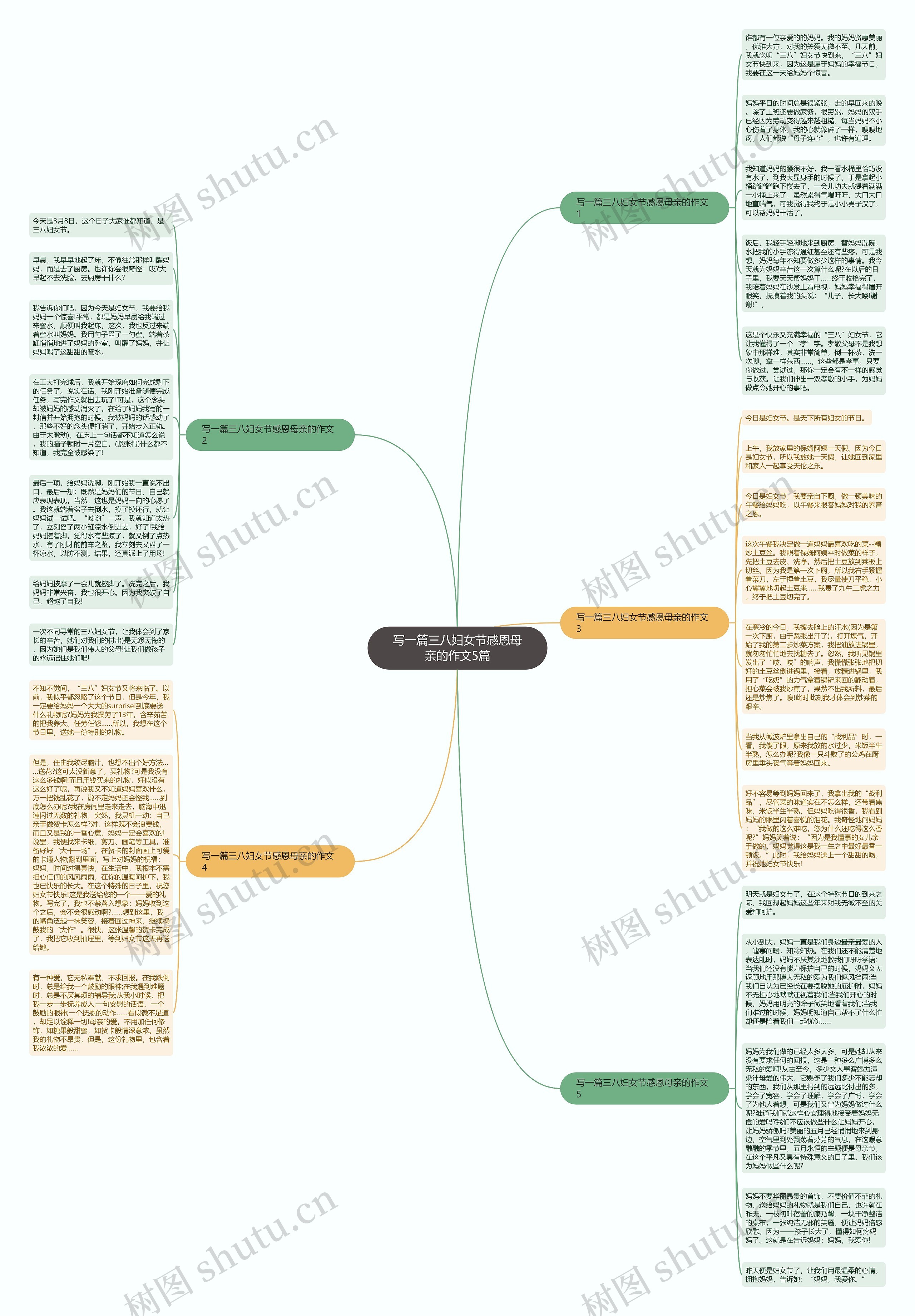 写一篇三八妇女节感恩母亲的作文5篇