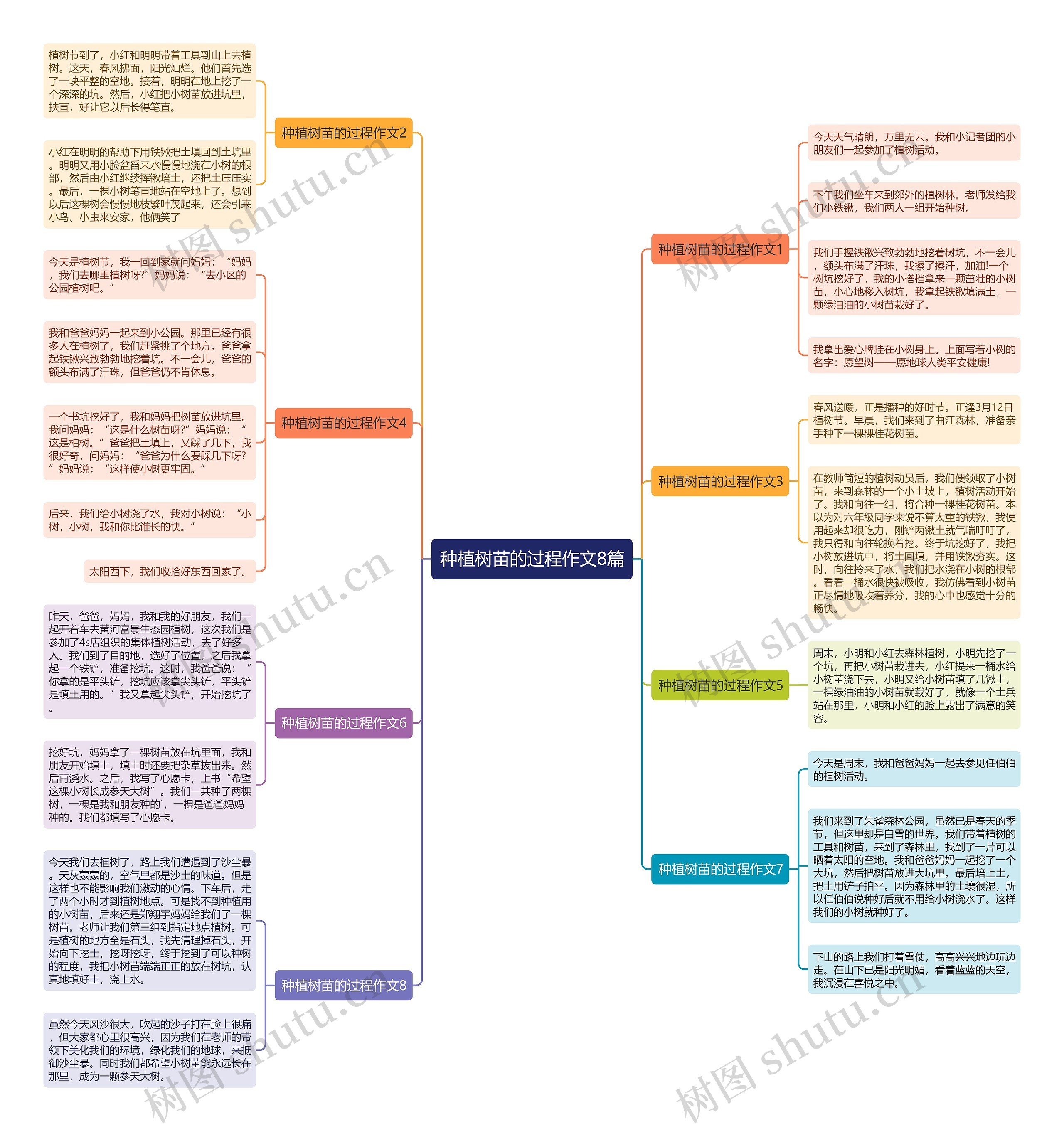 种植树苗的过程作文8篇思维导图