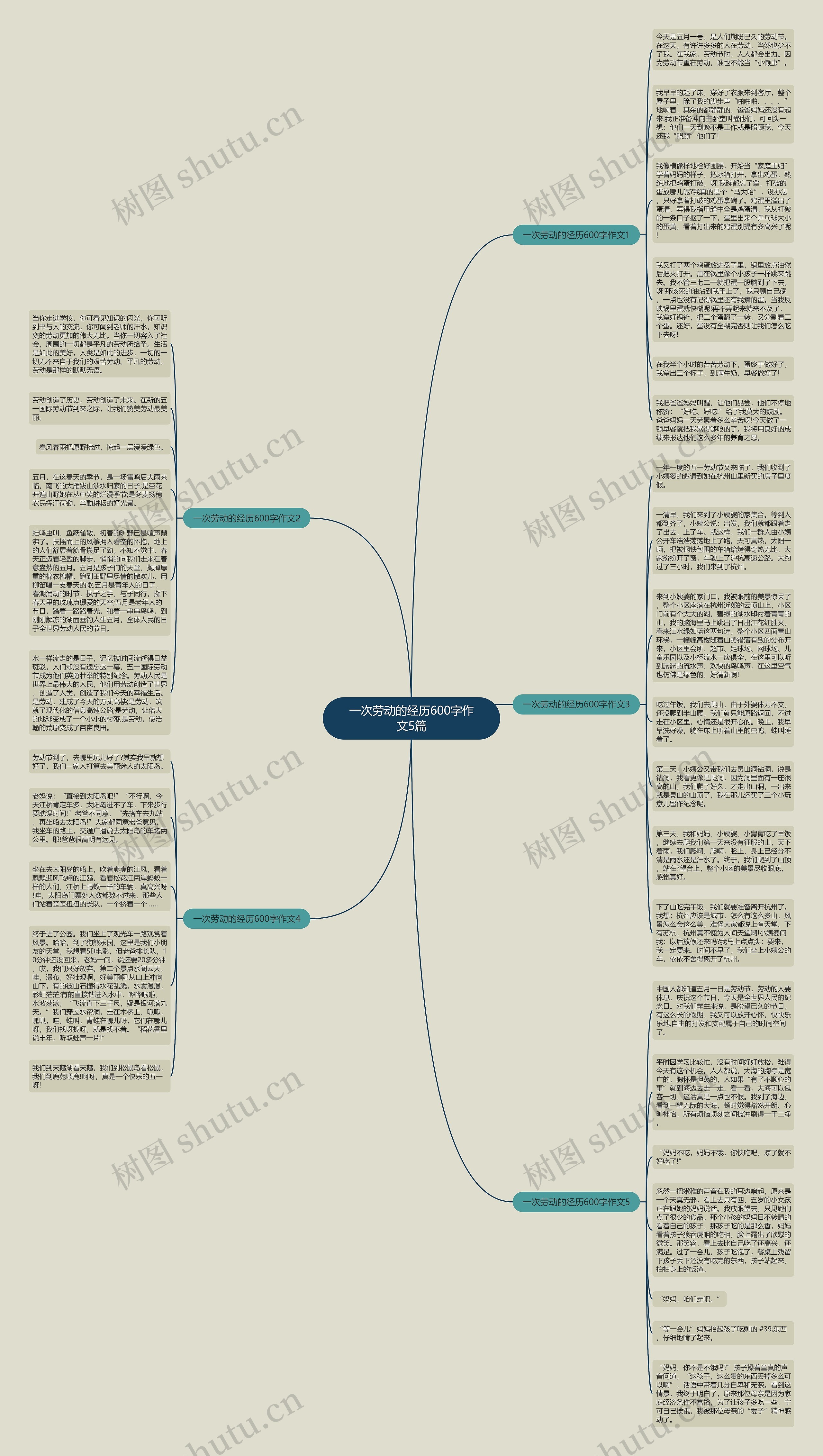 一次劳动的经历600字作文5篇思维导图