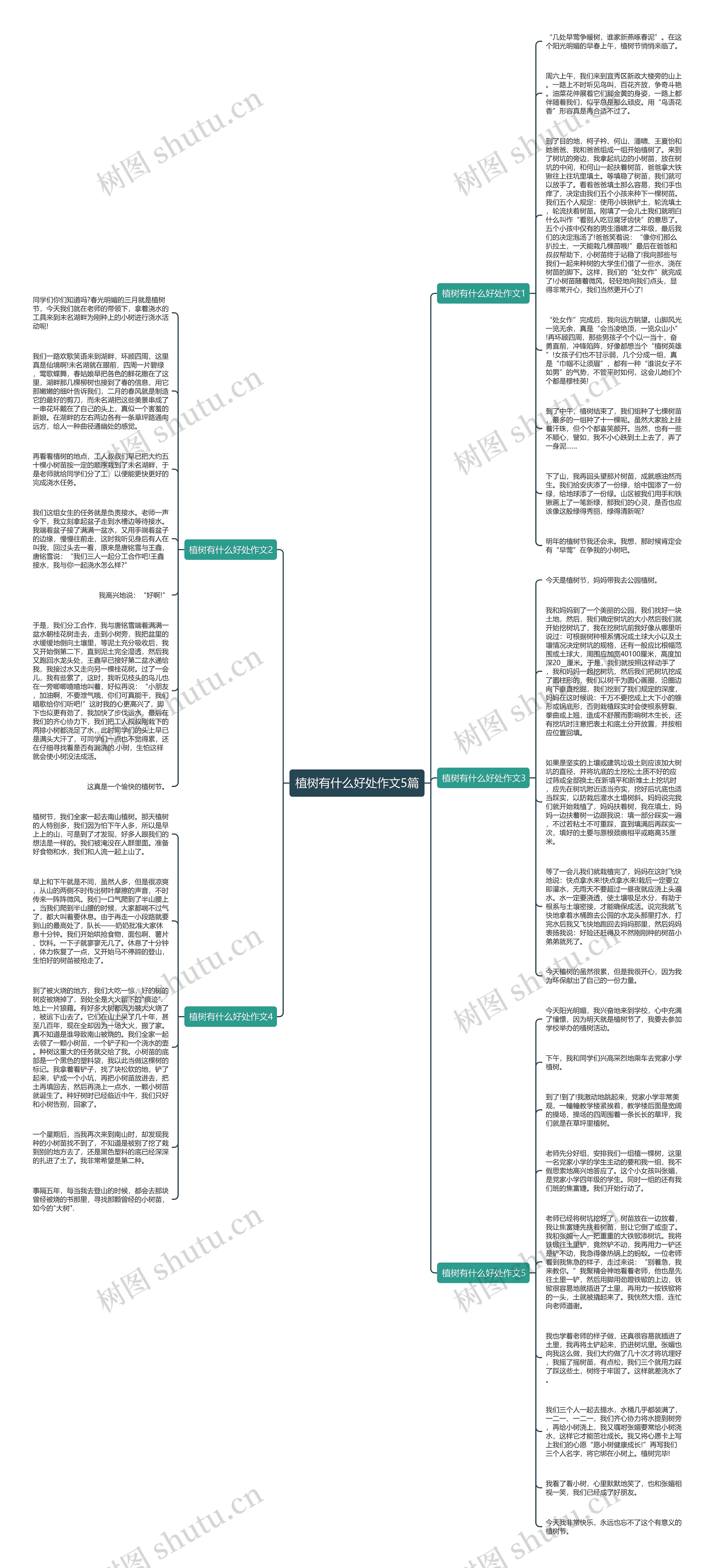 植树有什么好处作文5篇思维导图