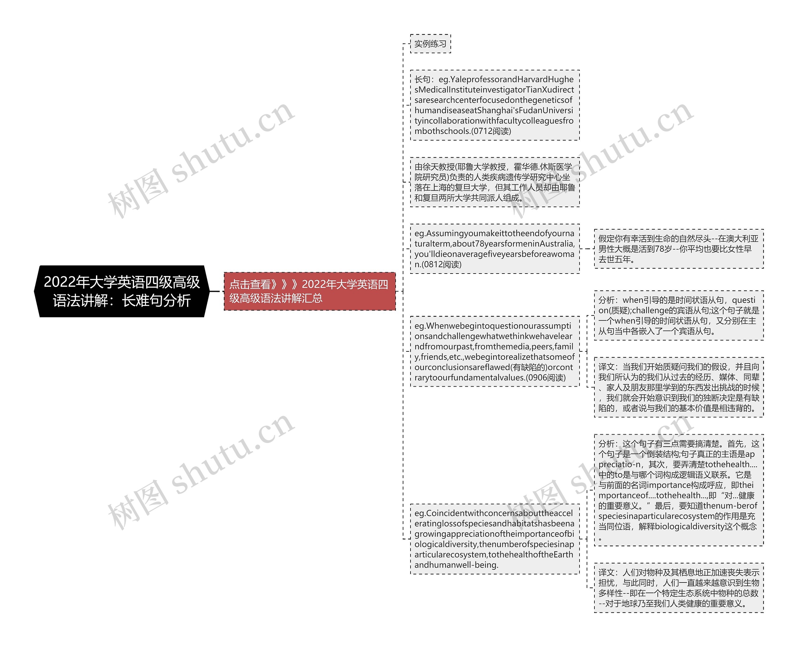 2022年大学英语四级高级语法讲解：长难句分析思维导图