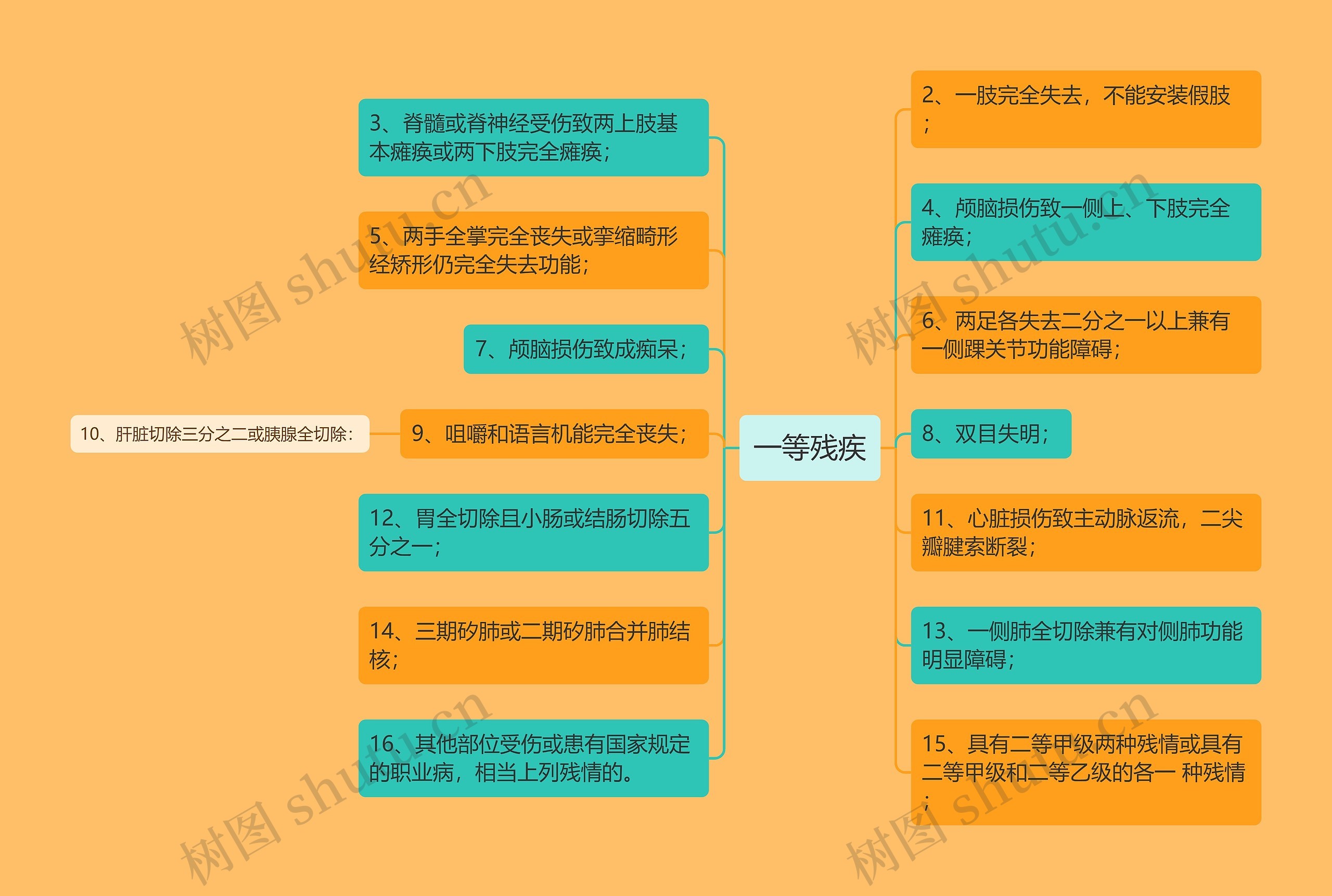 一等残疾思维导图