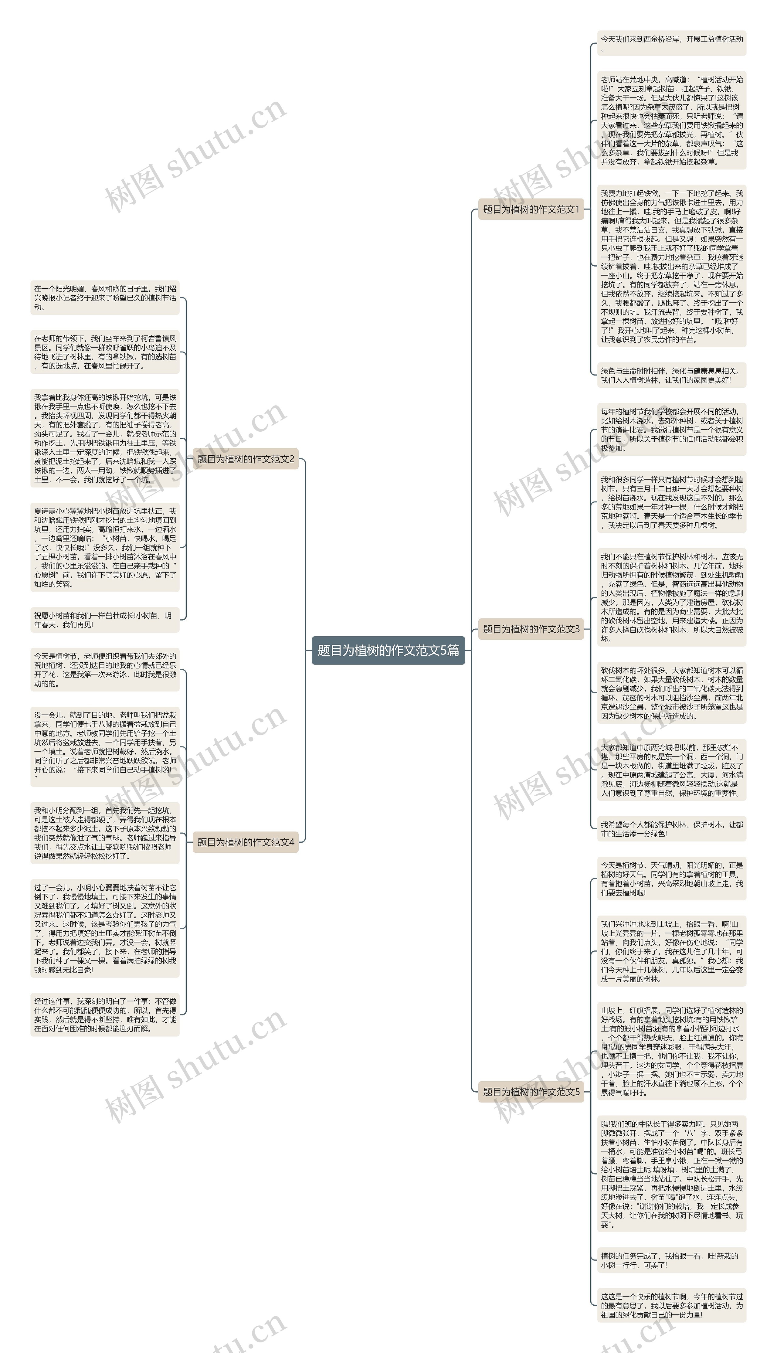 题目为植树的作文范文5篇思维导图