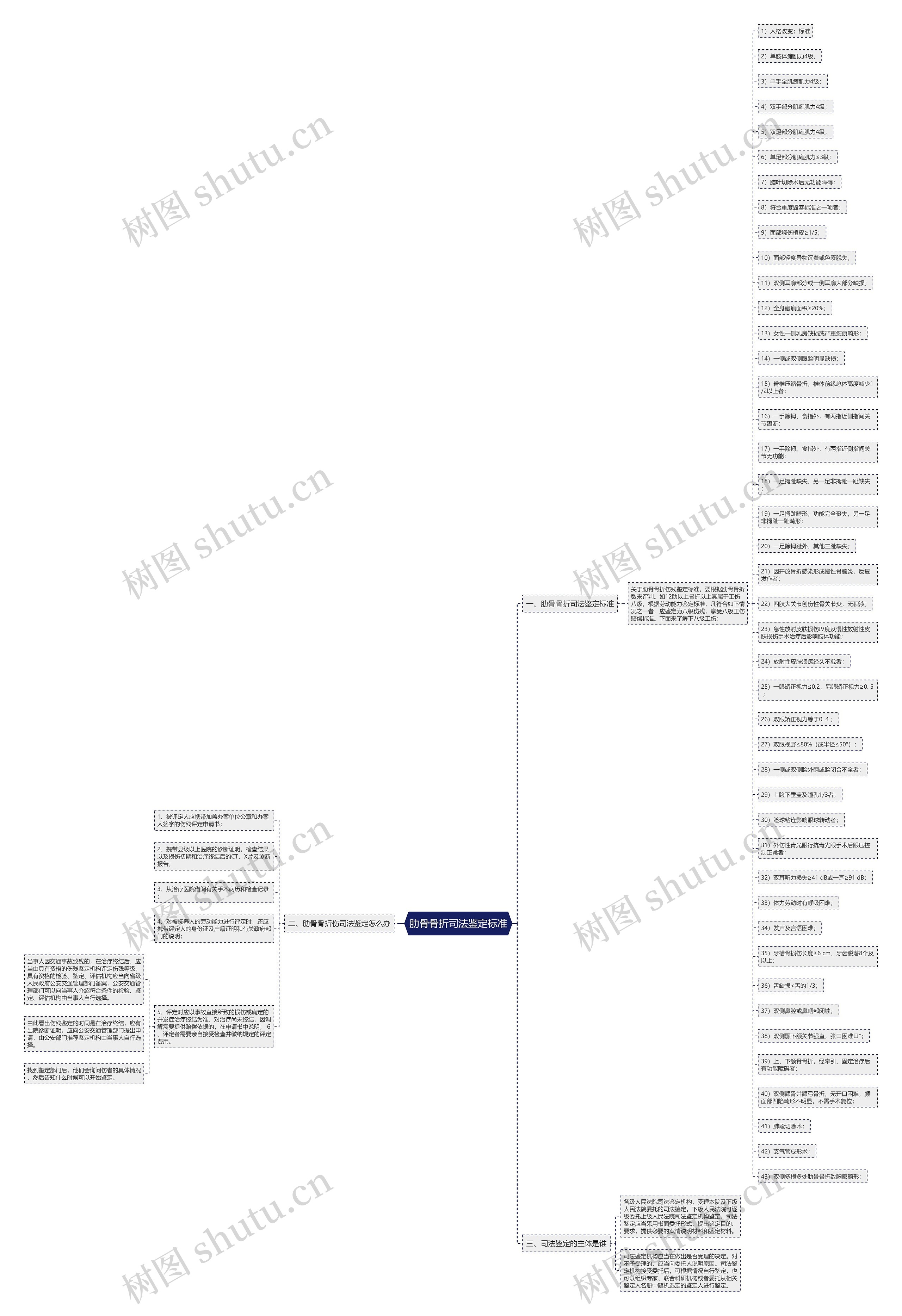 肋骨骨折司法鉴定标准思维导图