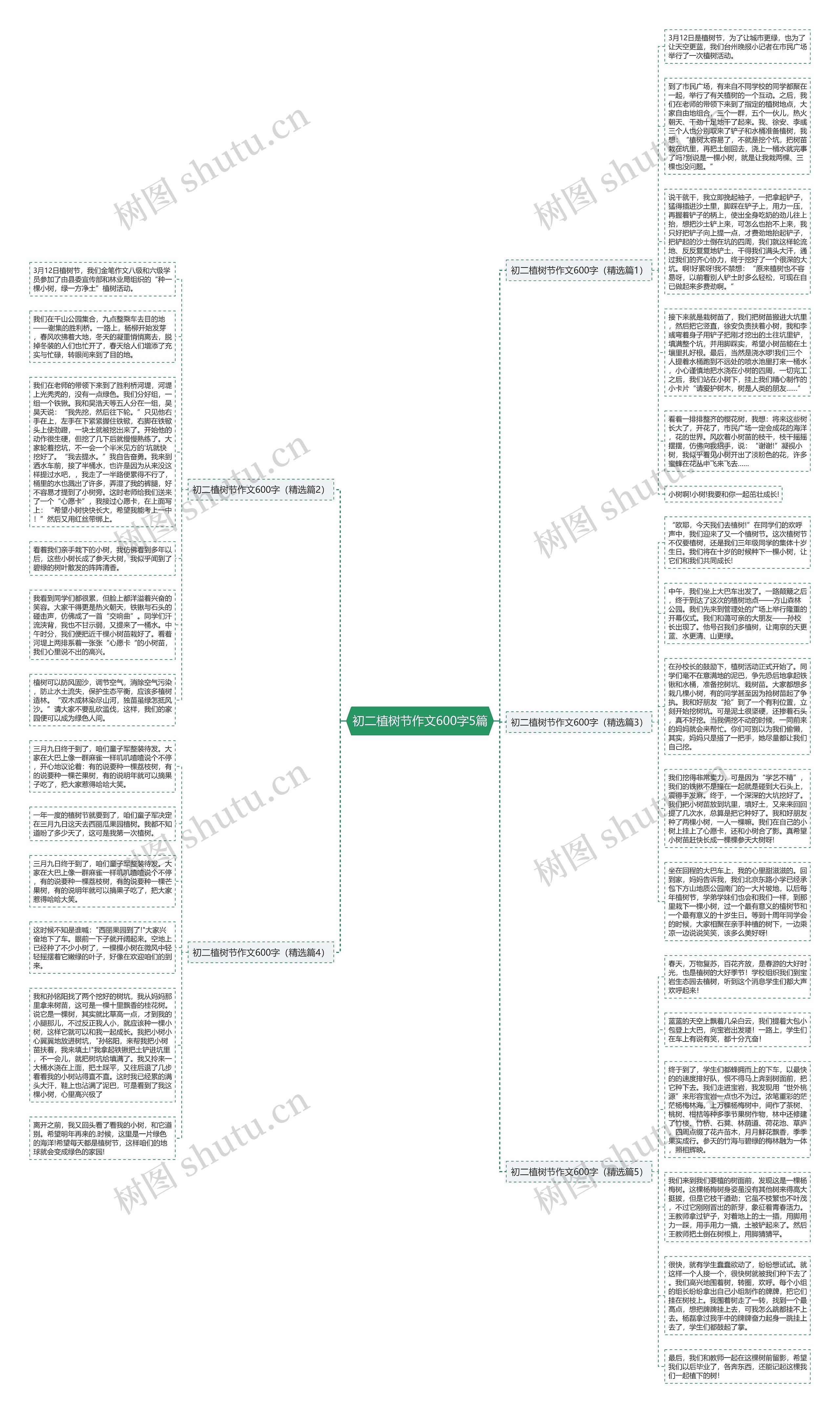 初二植树节作文600字5篇思维导图