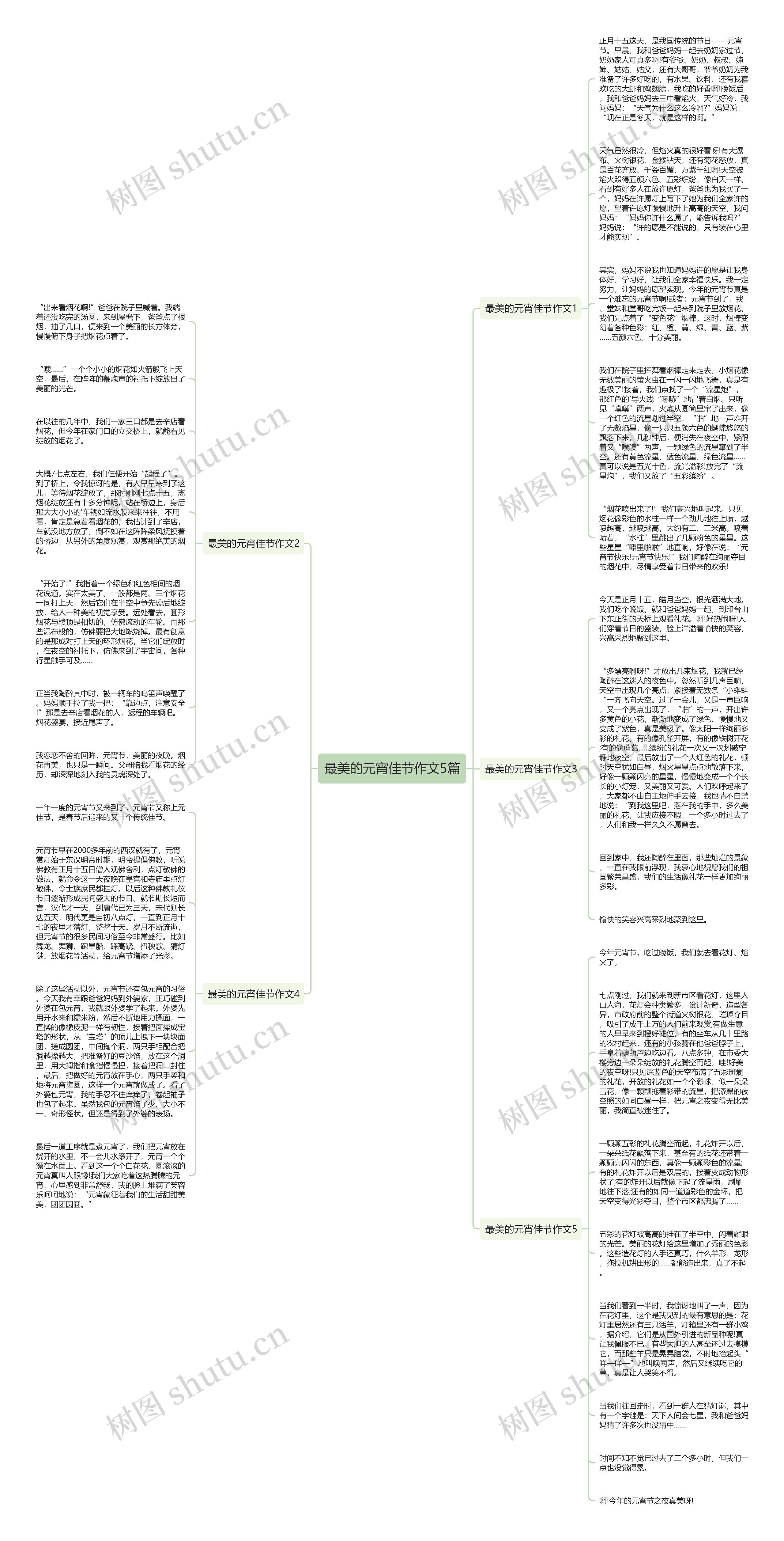 最美的元宵佳节作文5篇思维导图