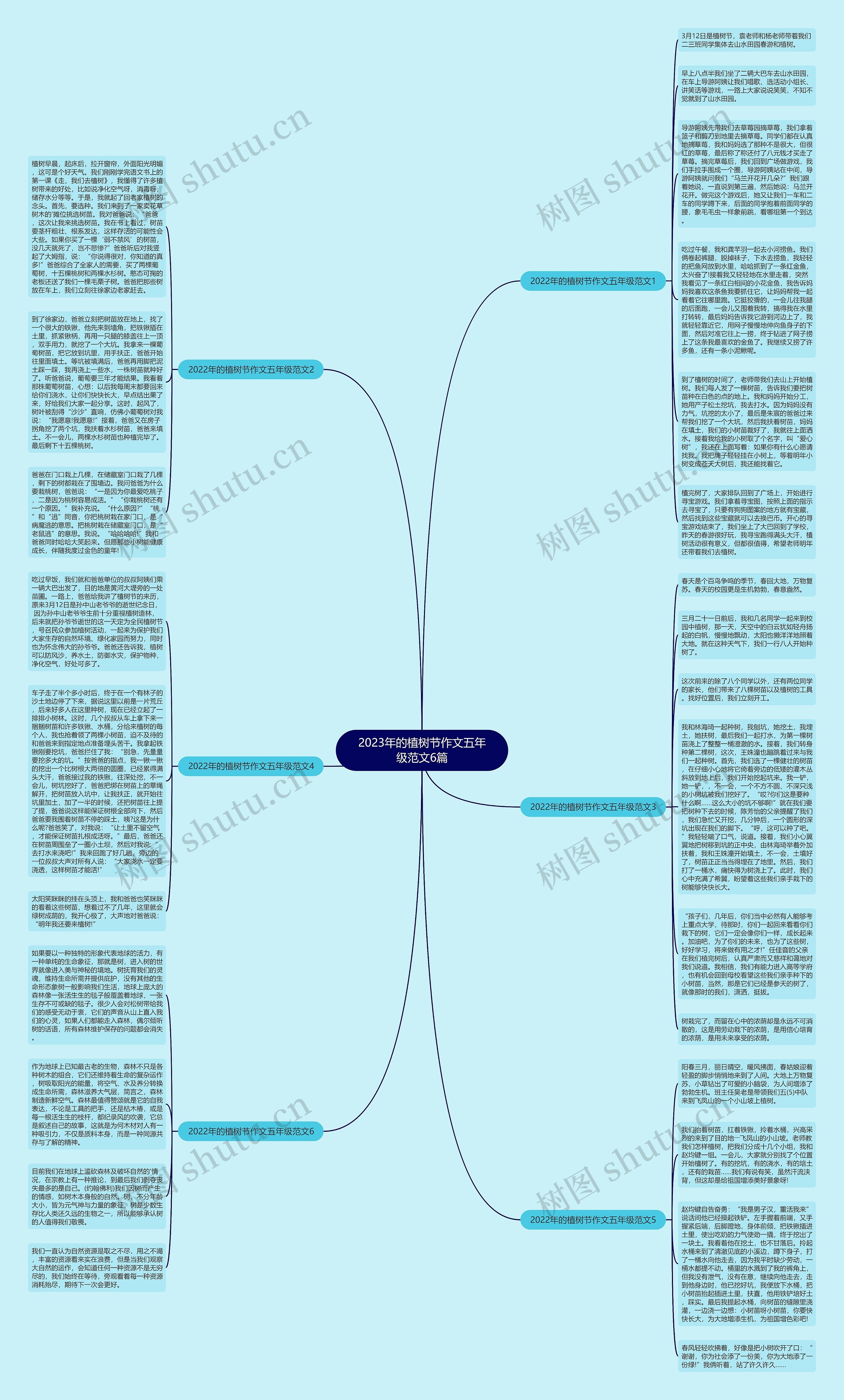 2023年的植树节作文五年级范文6篇思维导图