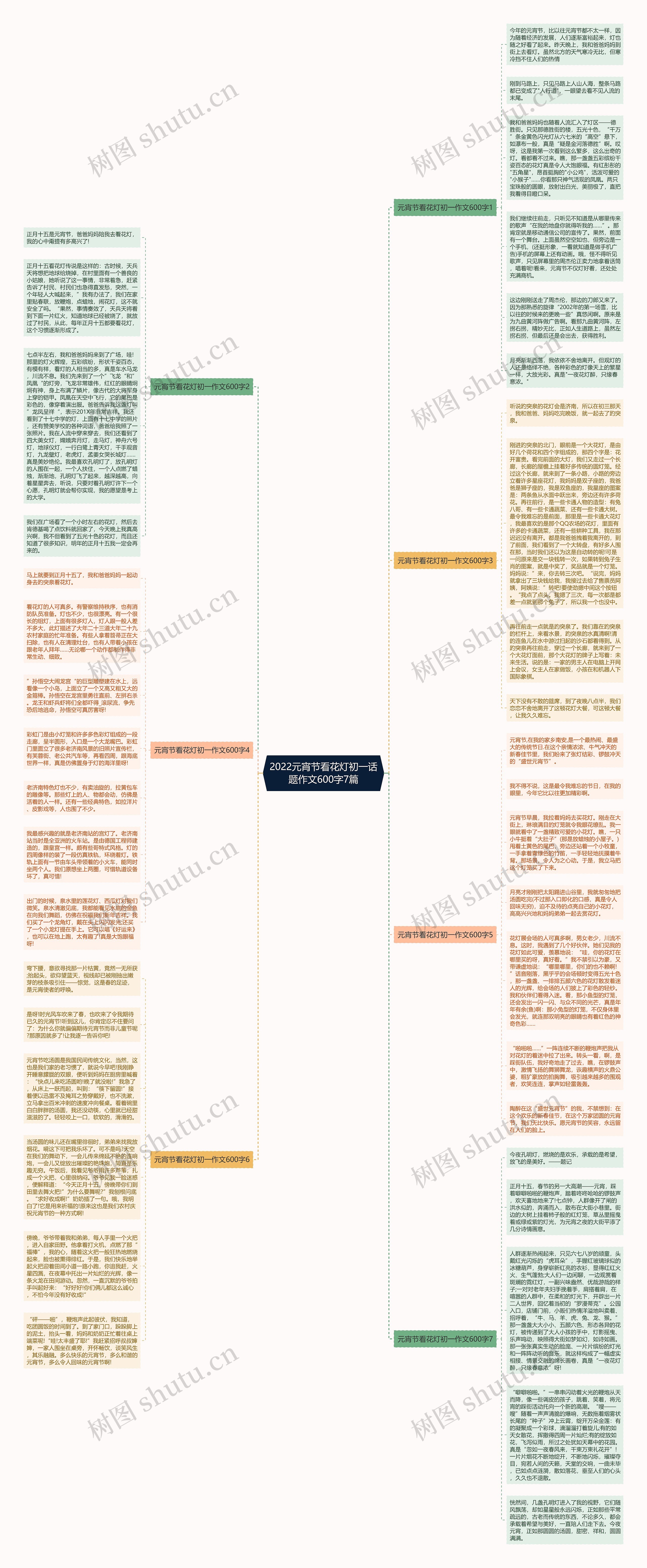 2022元宵节看花灯初一话题作文600字7篇思维导图