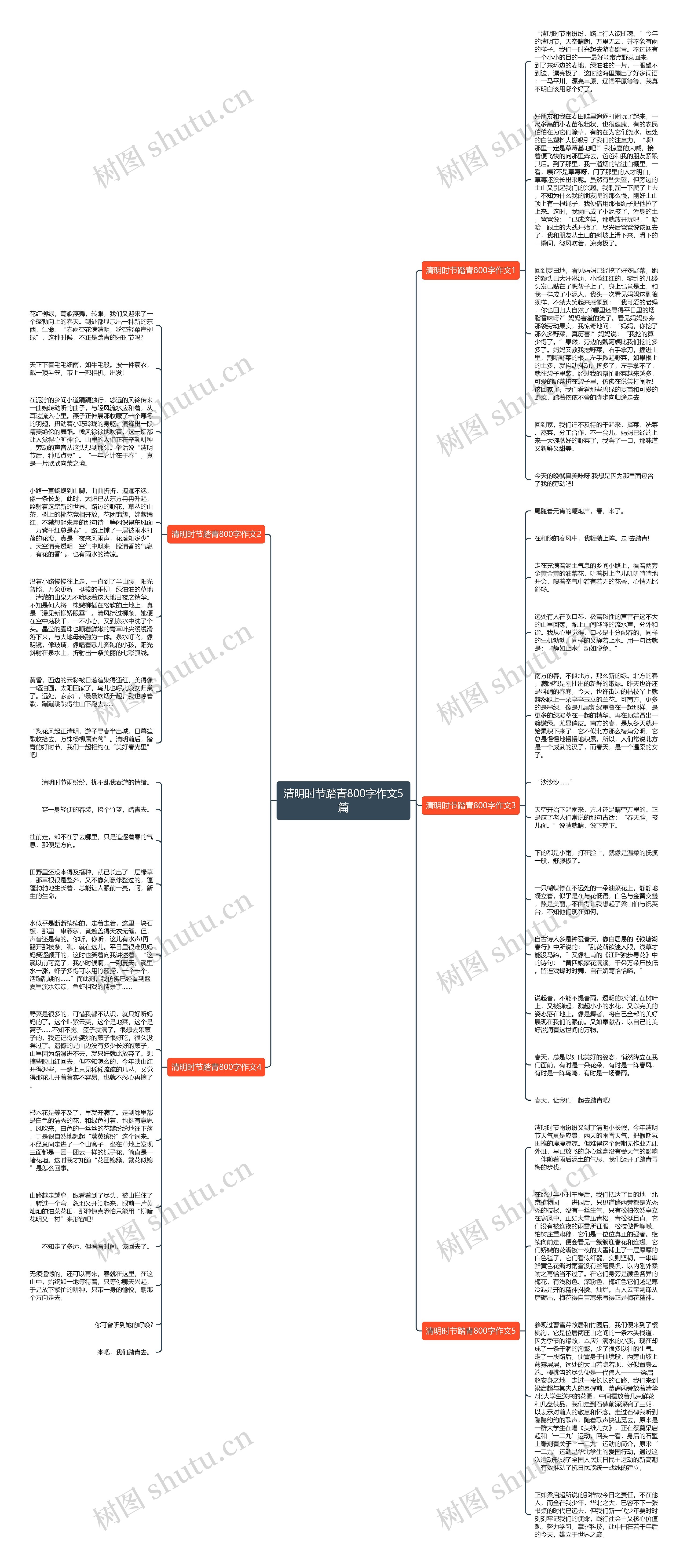 清明时节踏青800字作文5篇思维导图