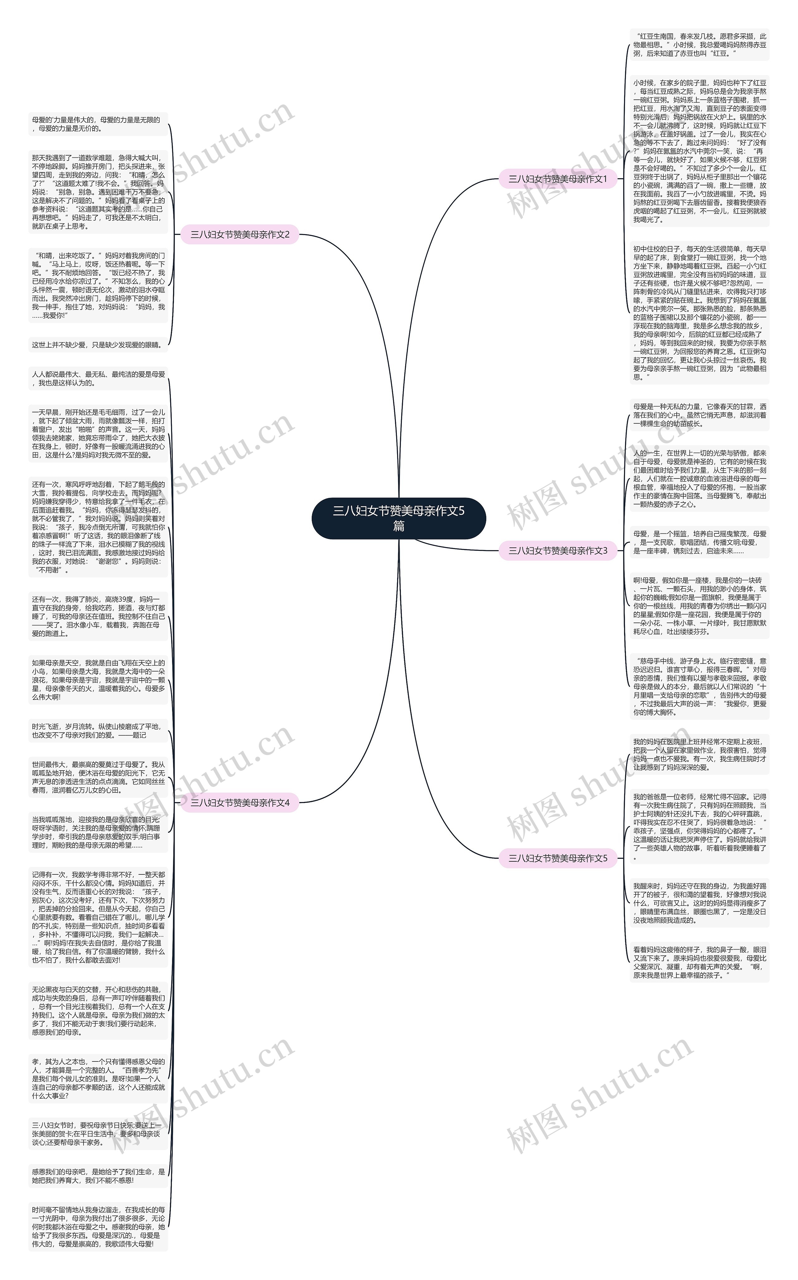 三八妇女节赞美母亲作文5篇思维导图