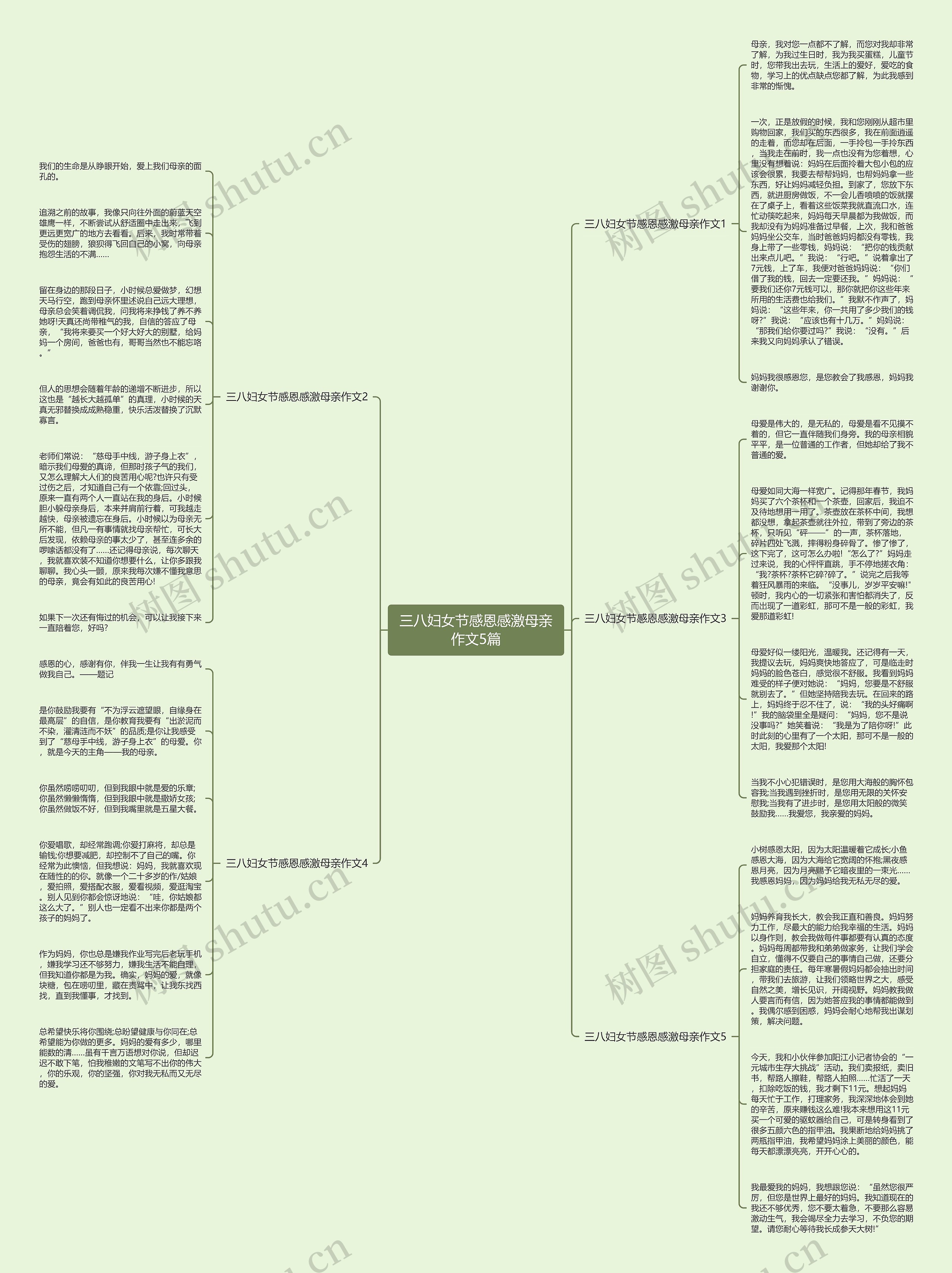 三八妇女节感恩感激母亲作文5篇思维导图