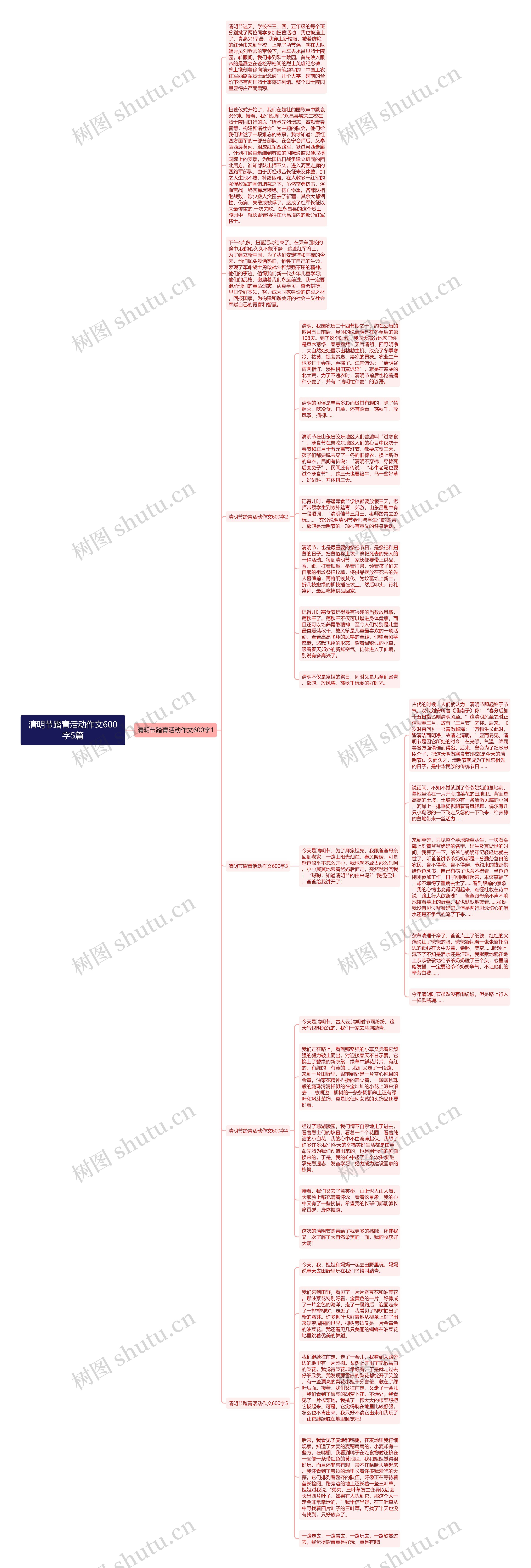 清明节踏青活动作文600字5篇思维导图