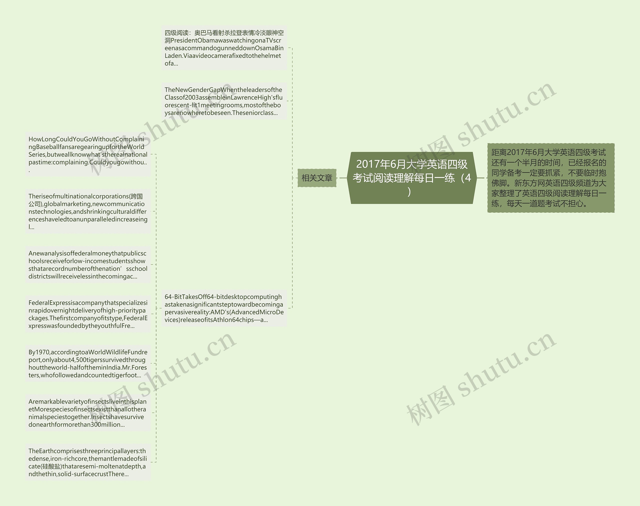 2017年6月大学英语四级考试阅读理解每日一练（4）思维导图