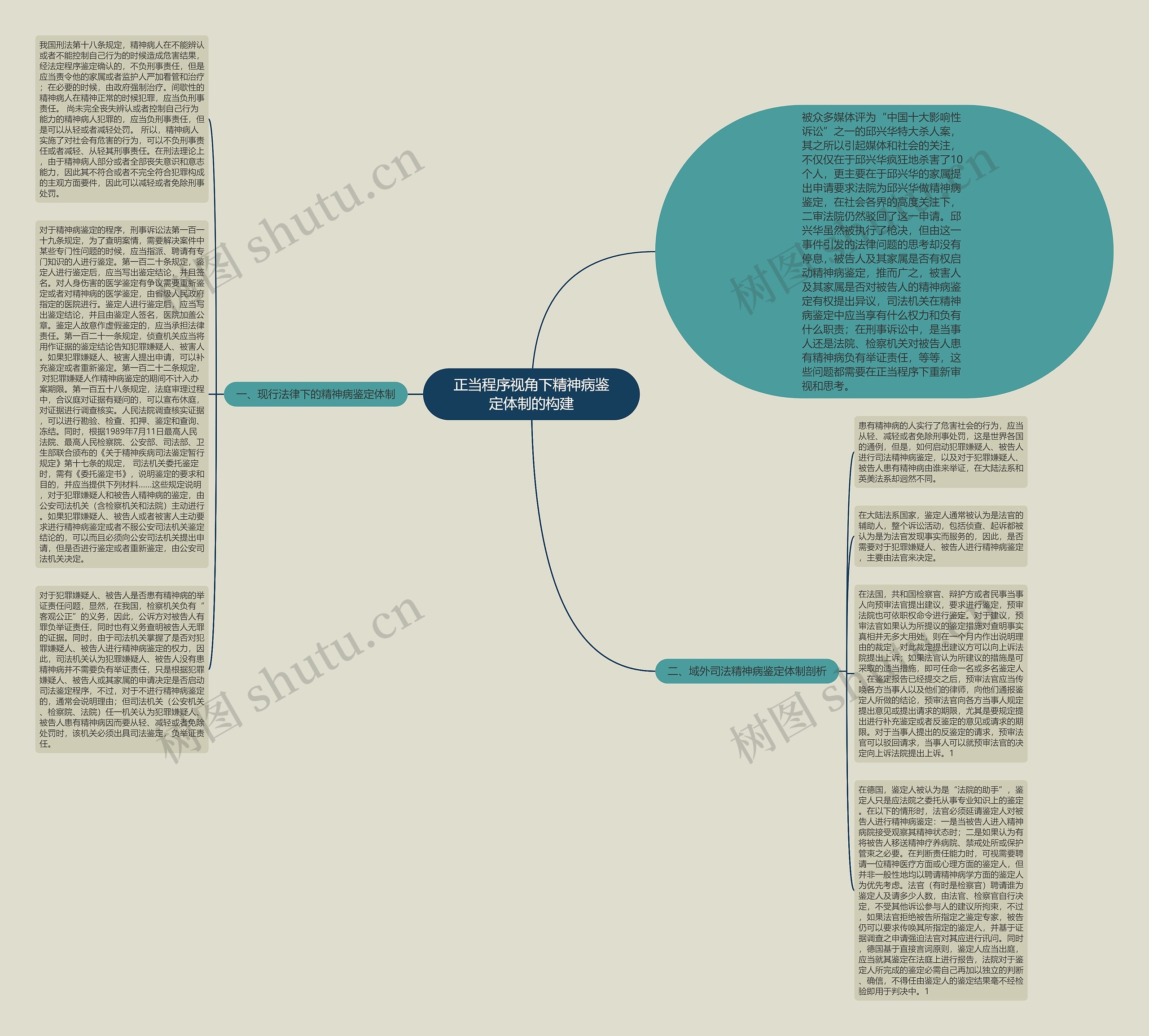 正当程序视角下精神病鉴定体制的构建思维导图
