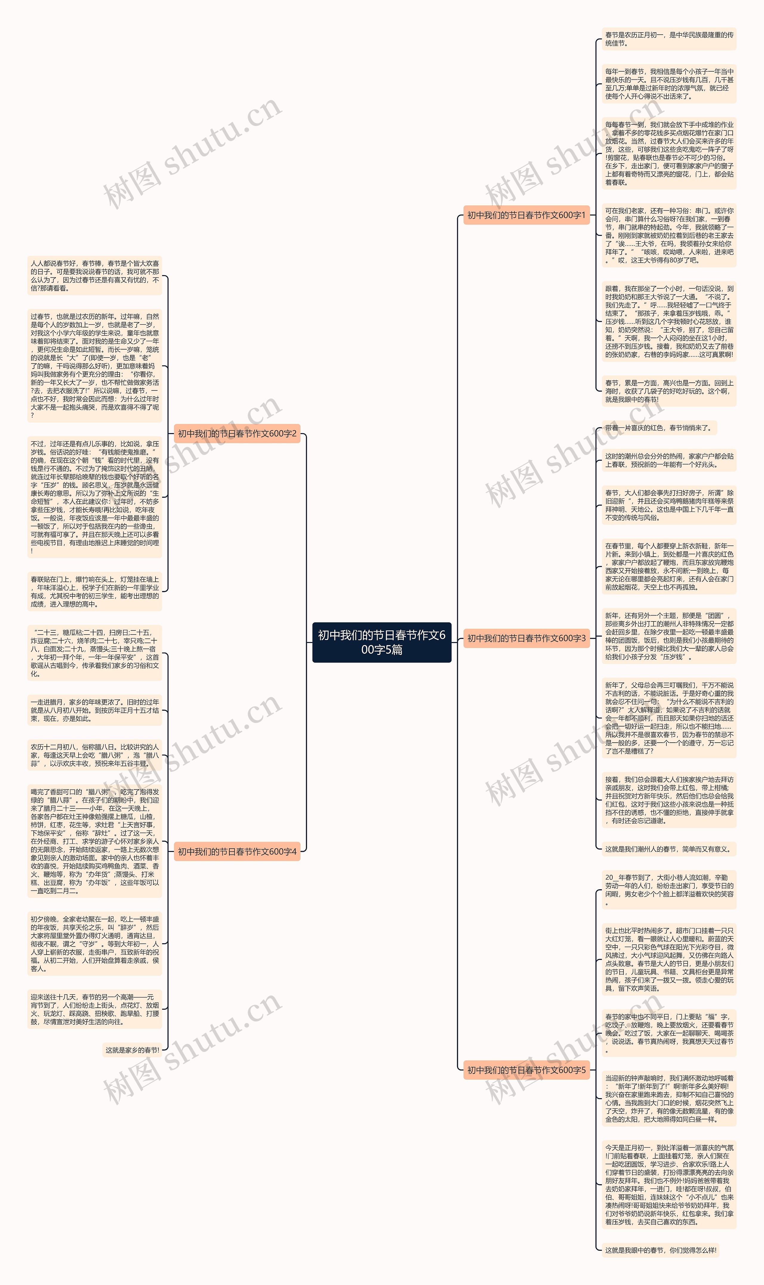 初中我们的节日春节作文600字5篇思维导图