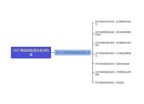 2021英语四级语法名词目录