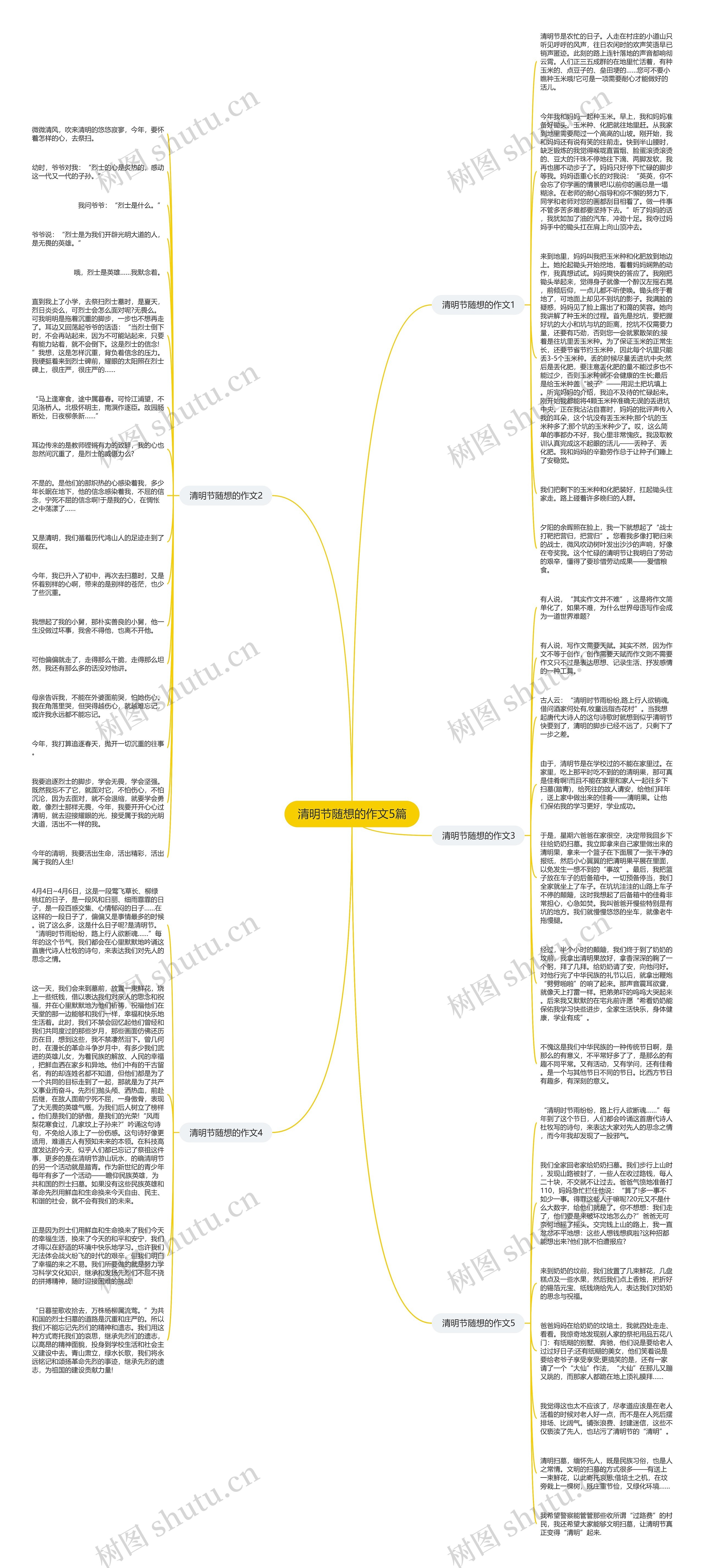 清明节随想的作文5篇思维导图