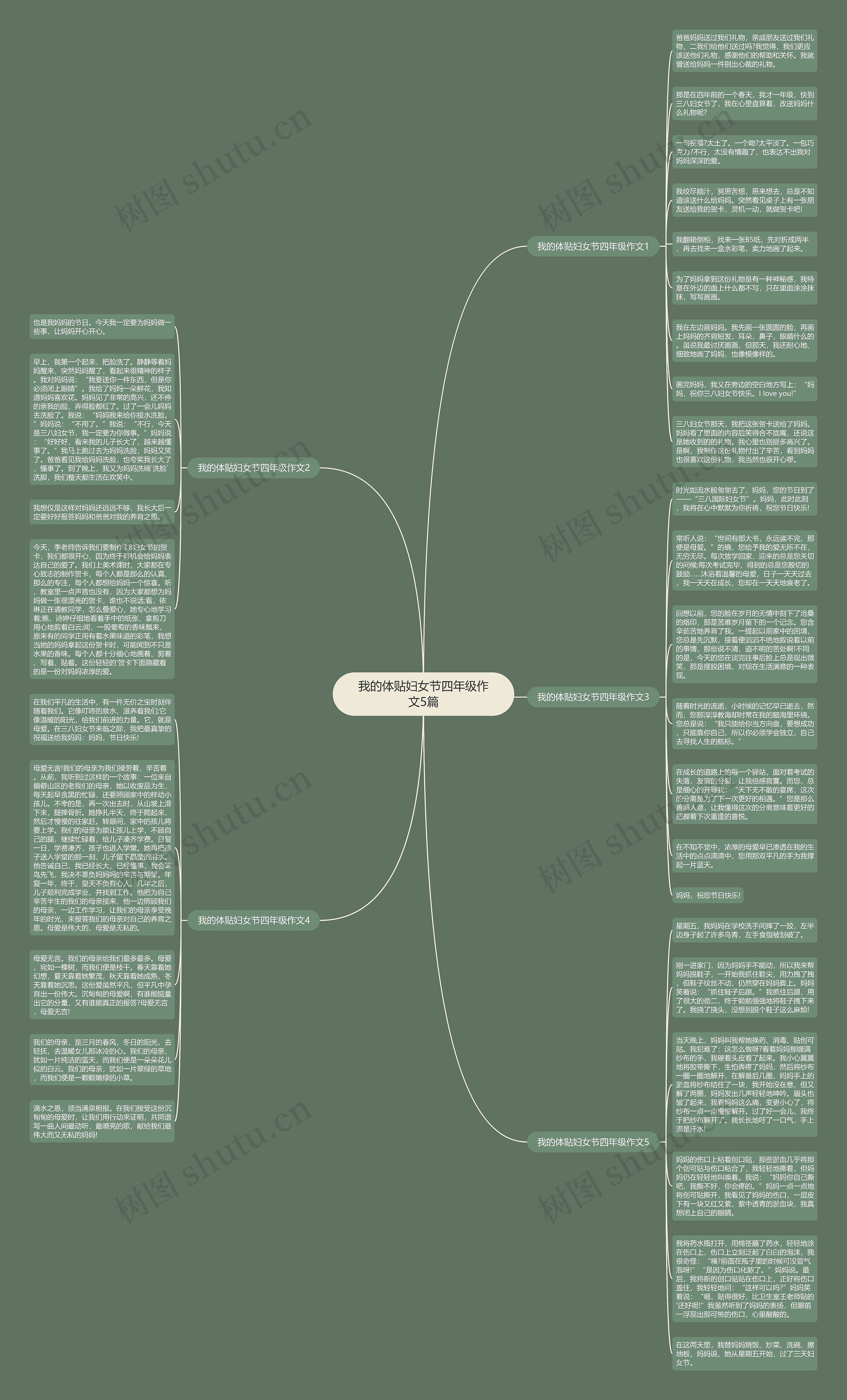 我的体贴妇女节四年级作文5篇思维导图