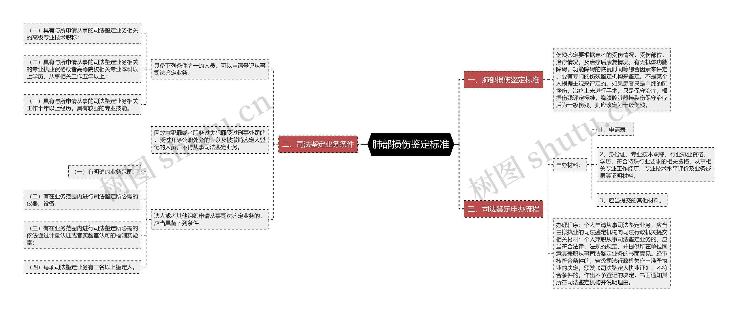 肺部损伤鉴定标准