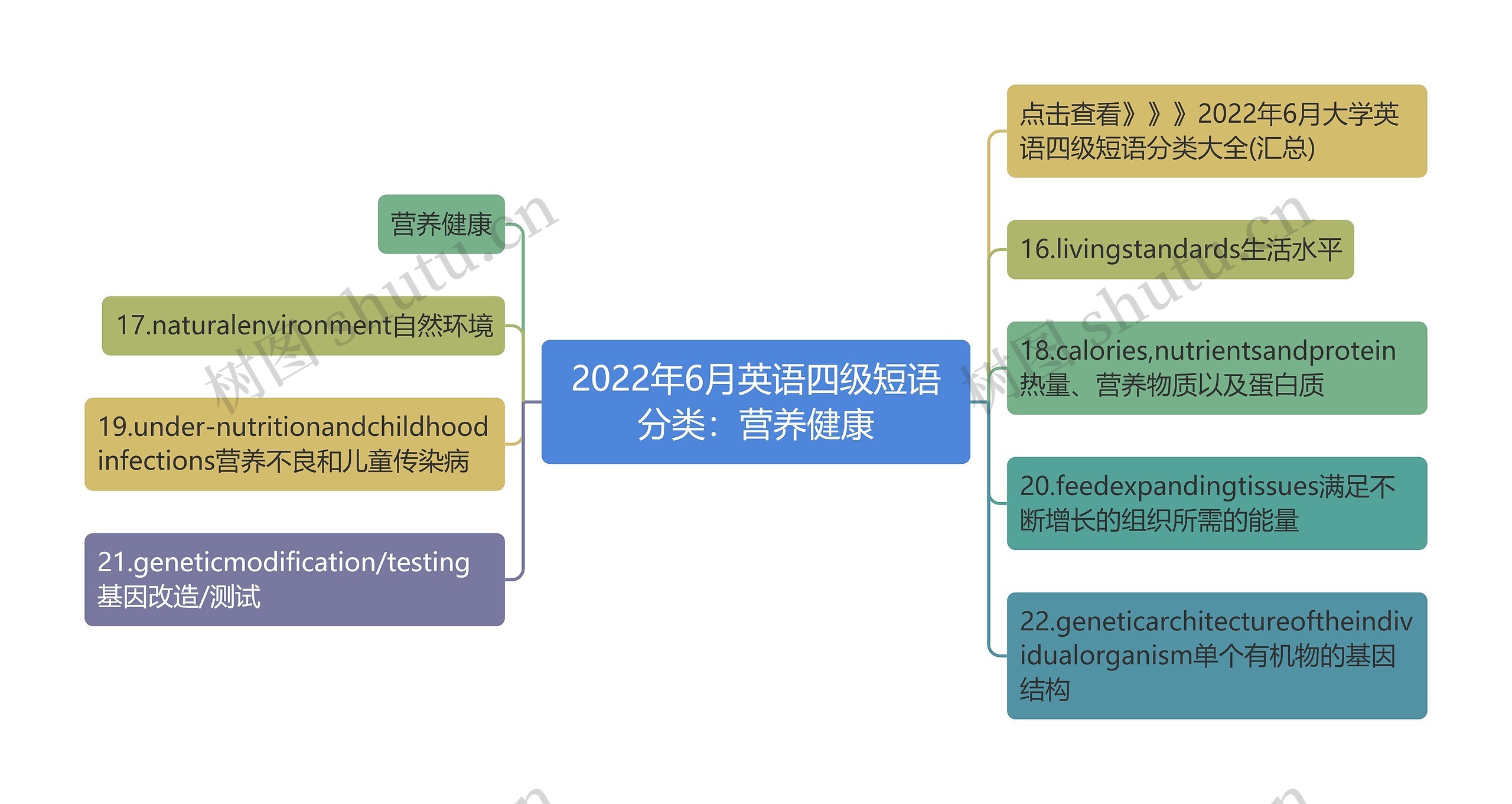 2022年6月英语四级短语分类：营养健康思维导图
