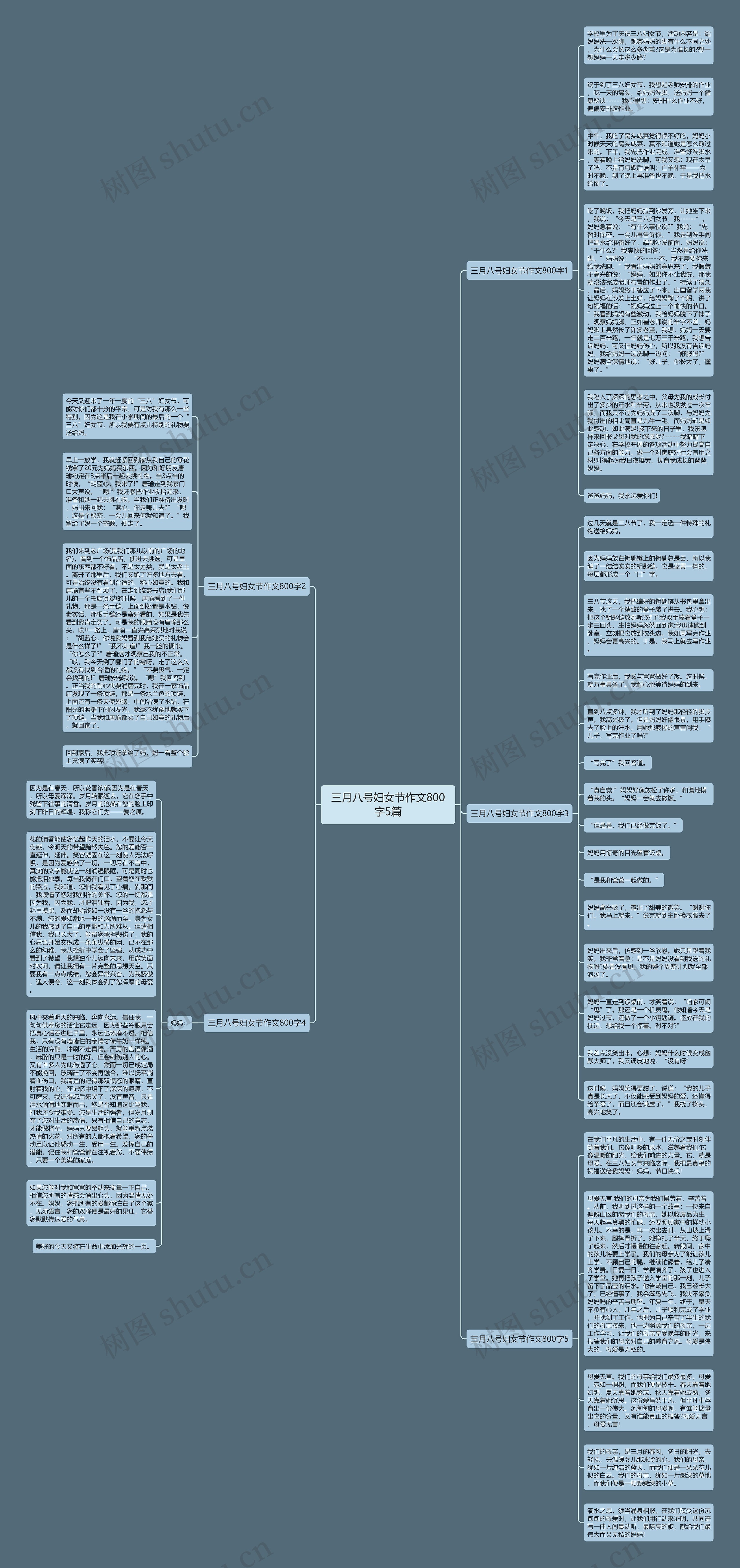 三月八号妇女节作文800字5篇思维导图