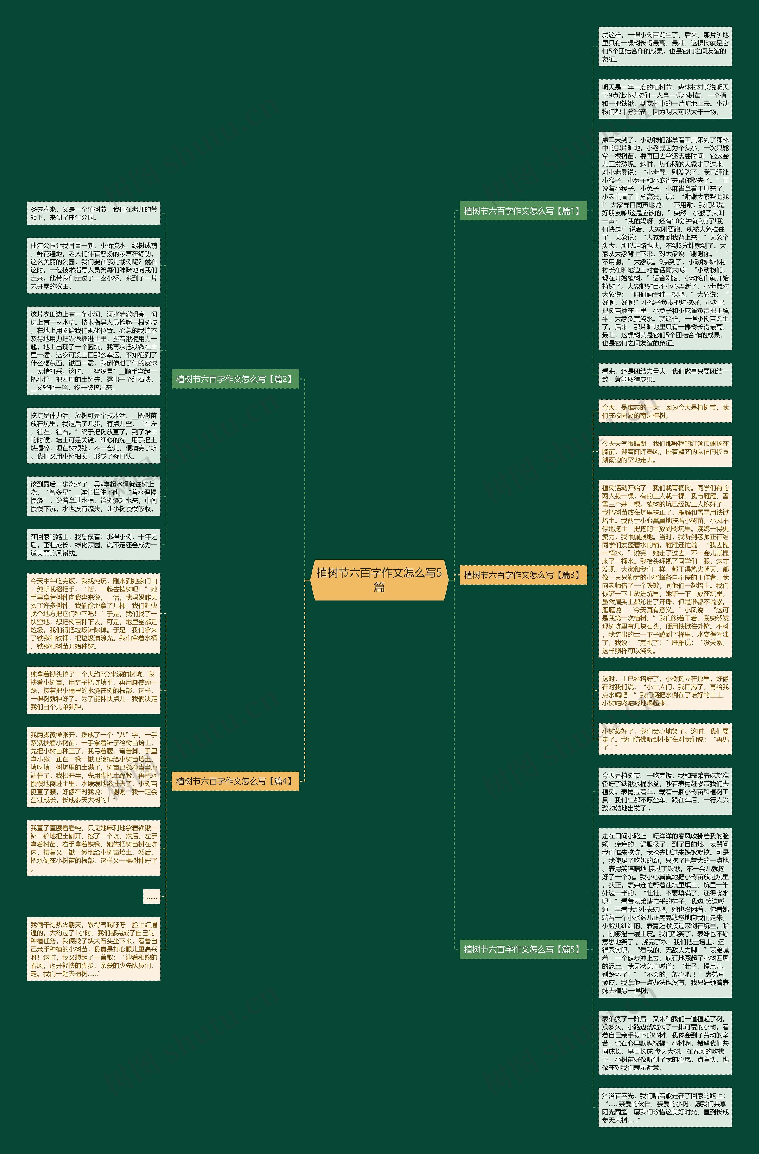 植树节六百字作文怎么写5篇思维导图