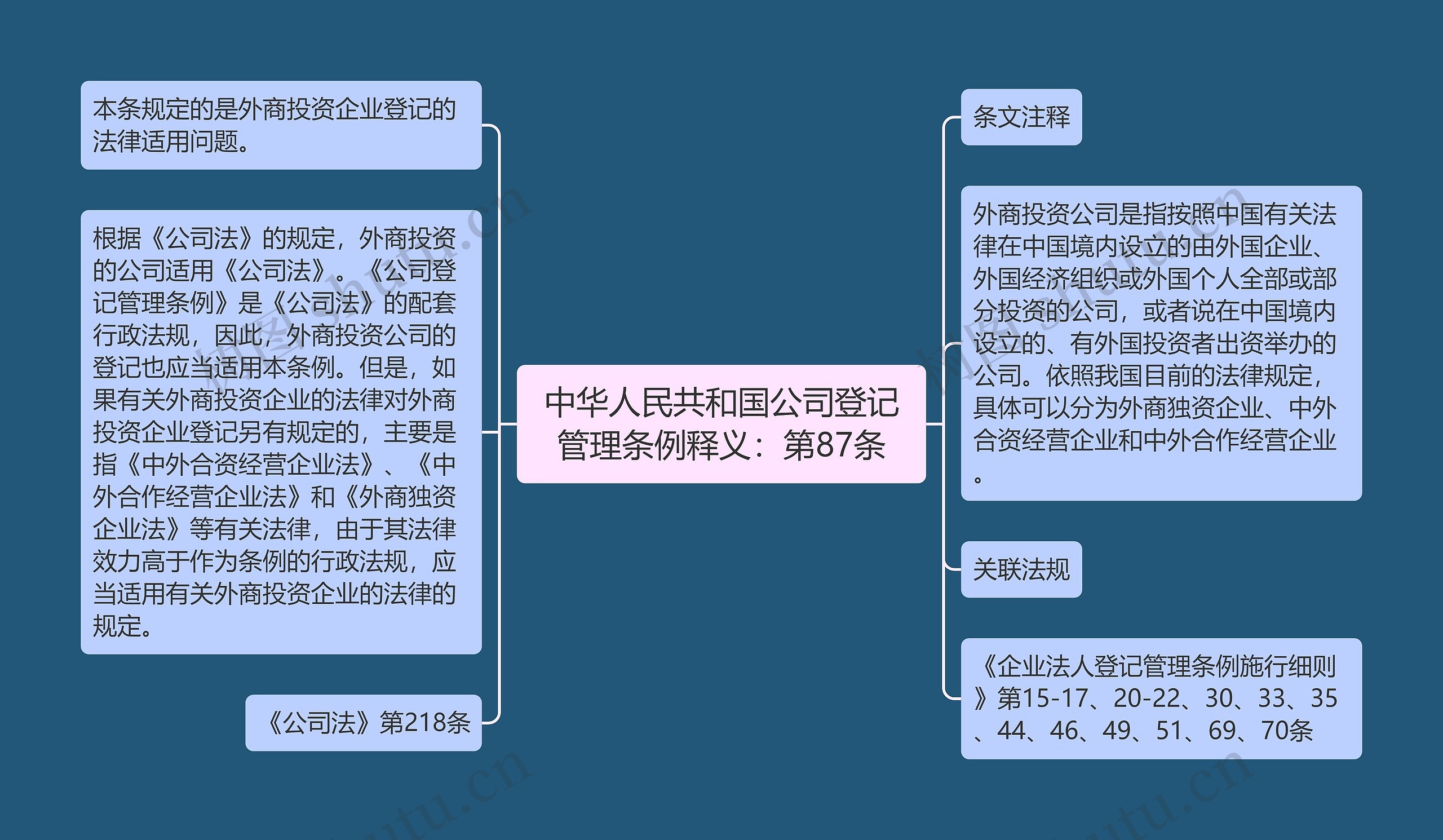 中华人民共和国公司登记管理条例释义：第87条