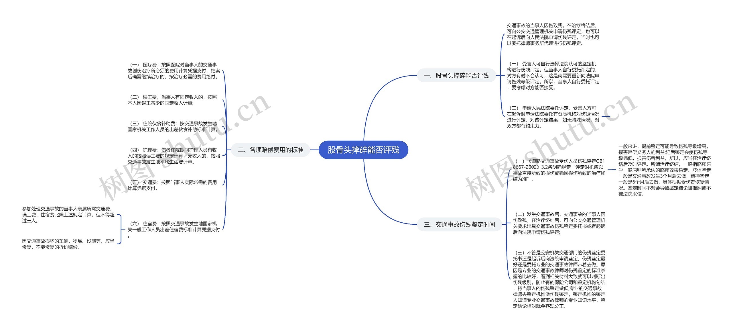 股骨头摔碎能否评残思维导图