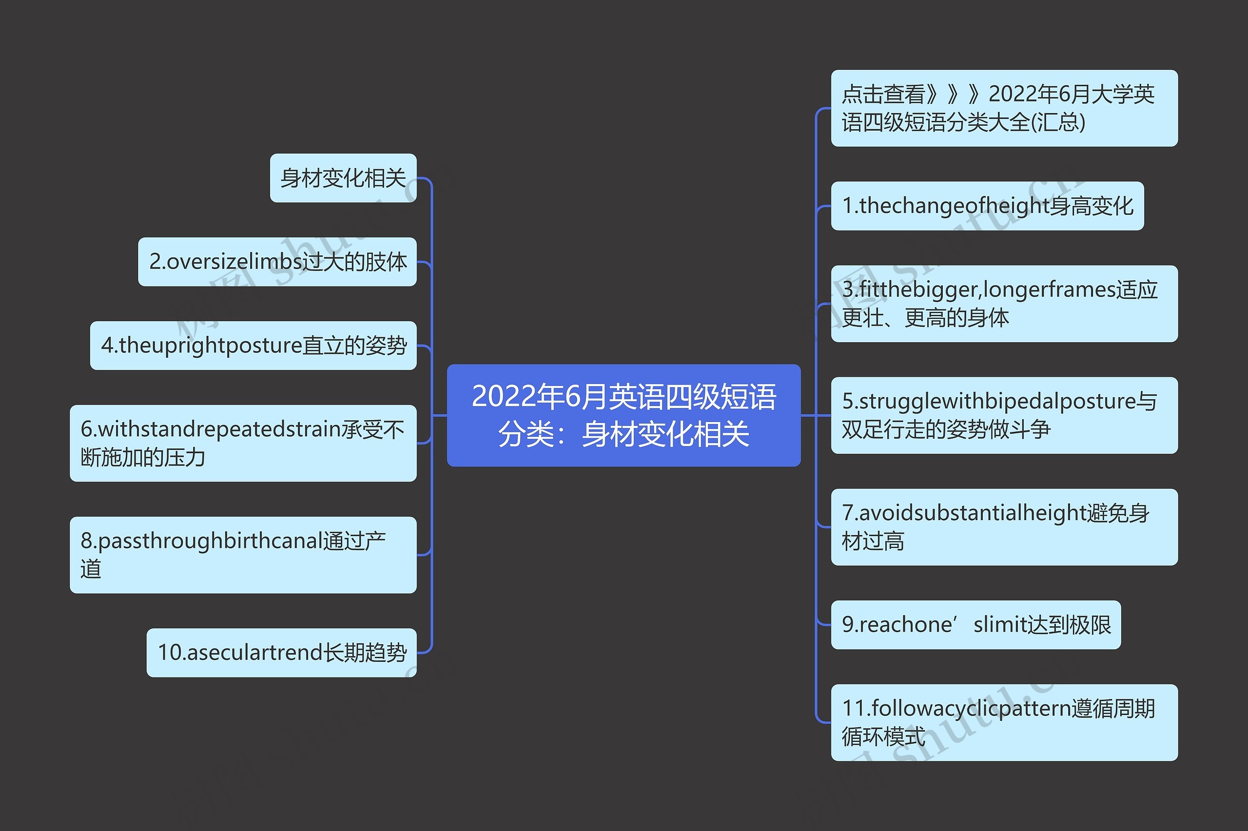 2022年6月英语四级短语分类：身材变化相关